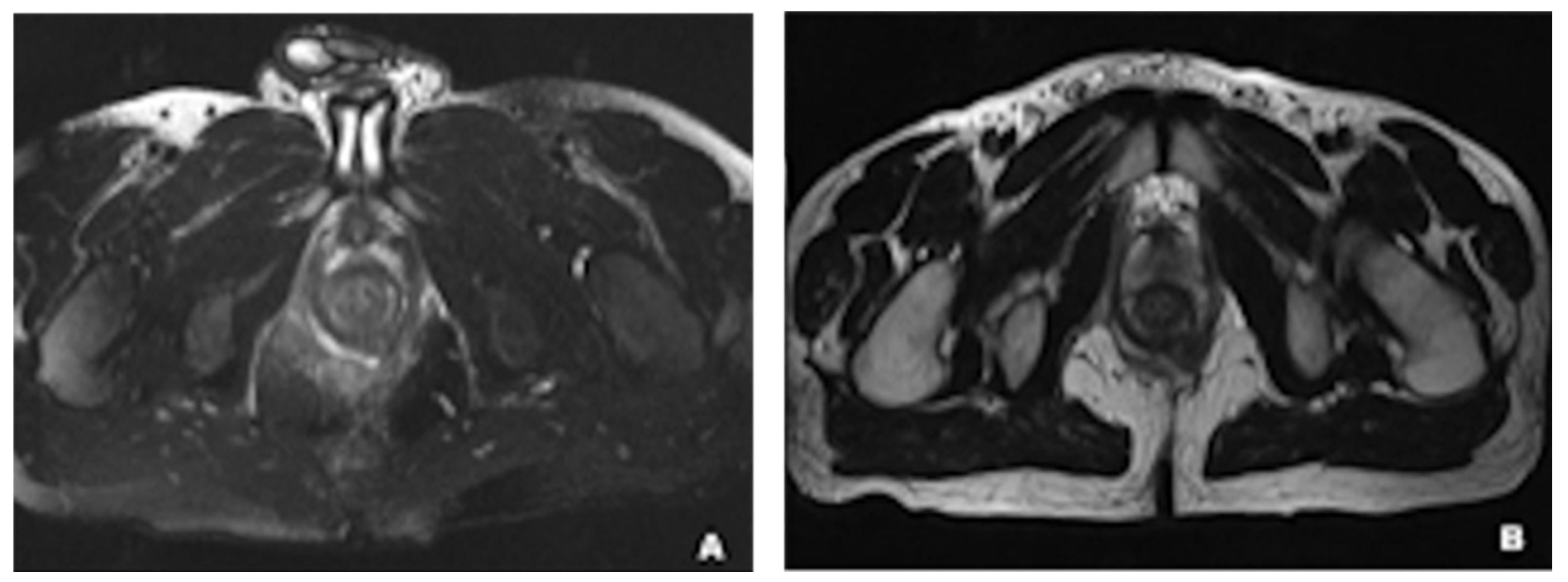 Jimaging 09 00115 g003