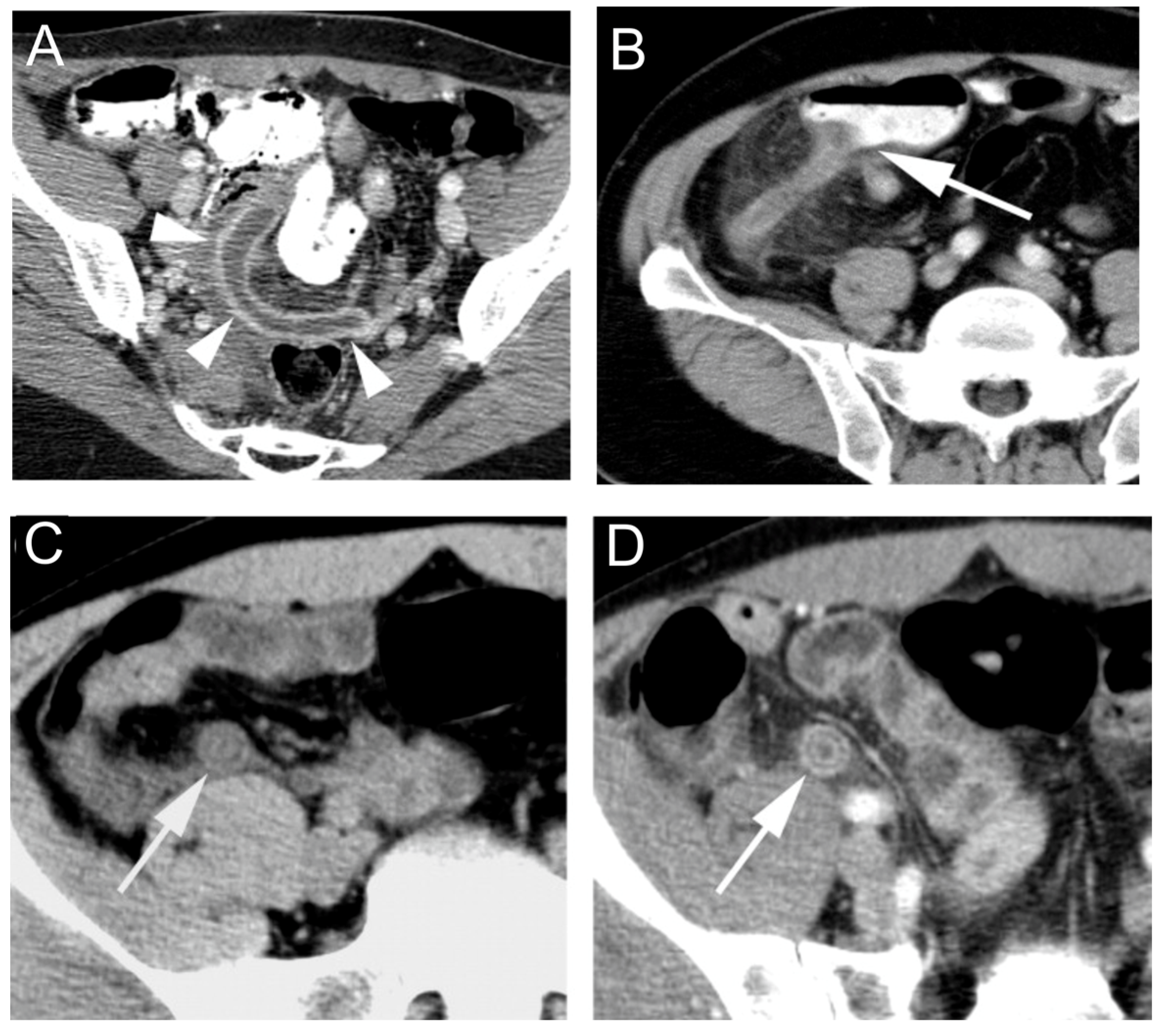 Jimaging 09 00115 g004