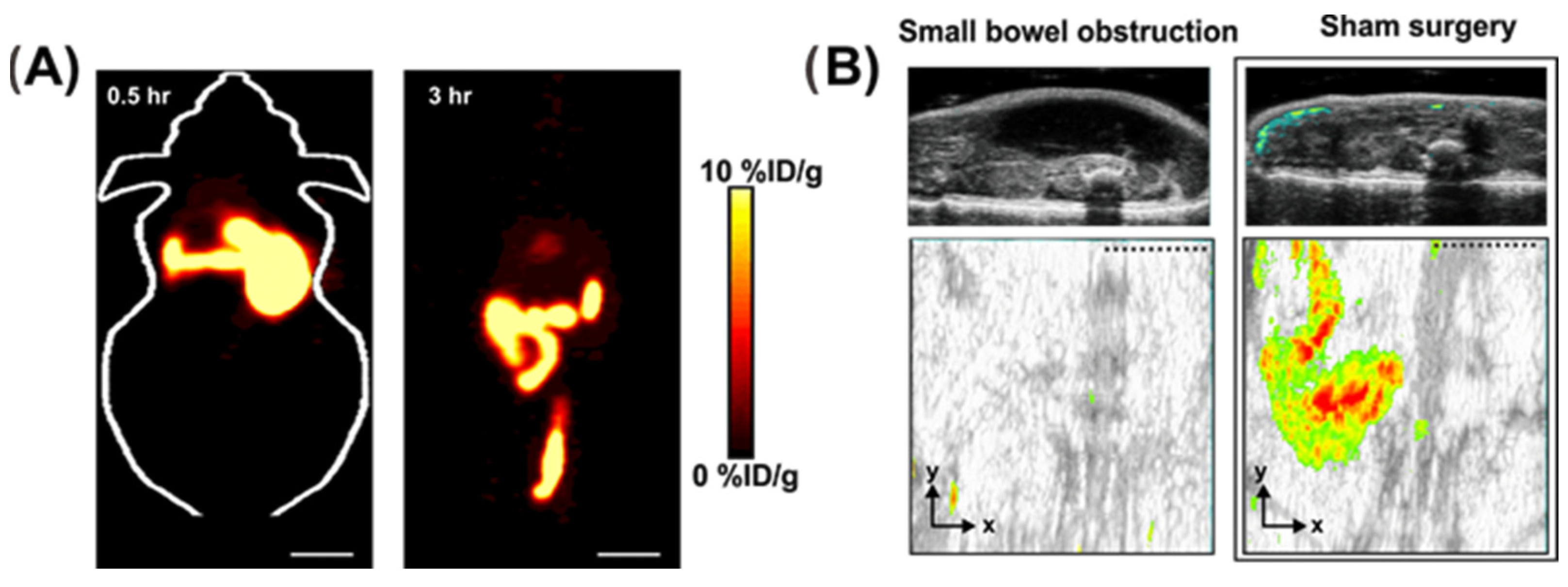 J. Imaging, Free Full-Text