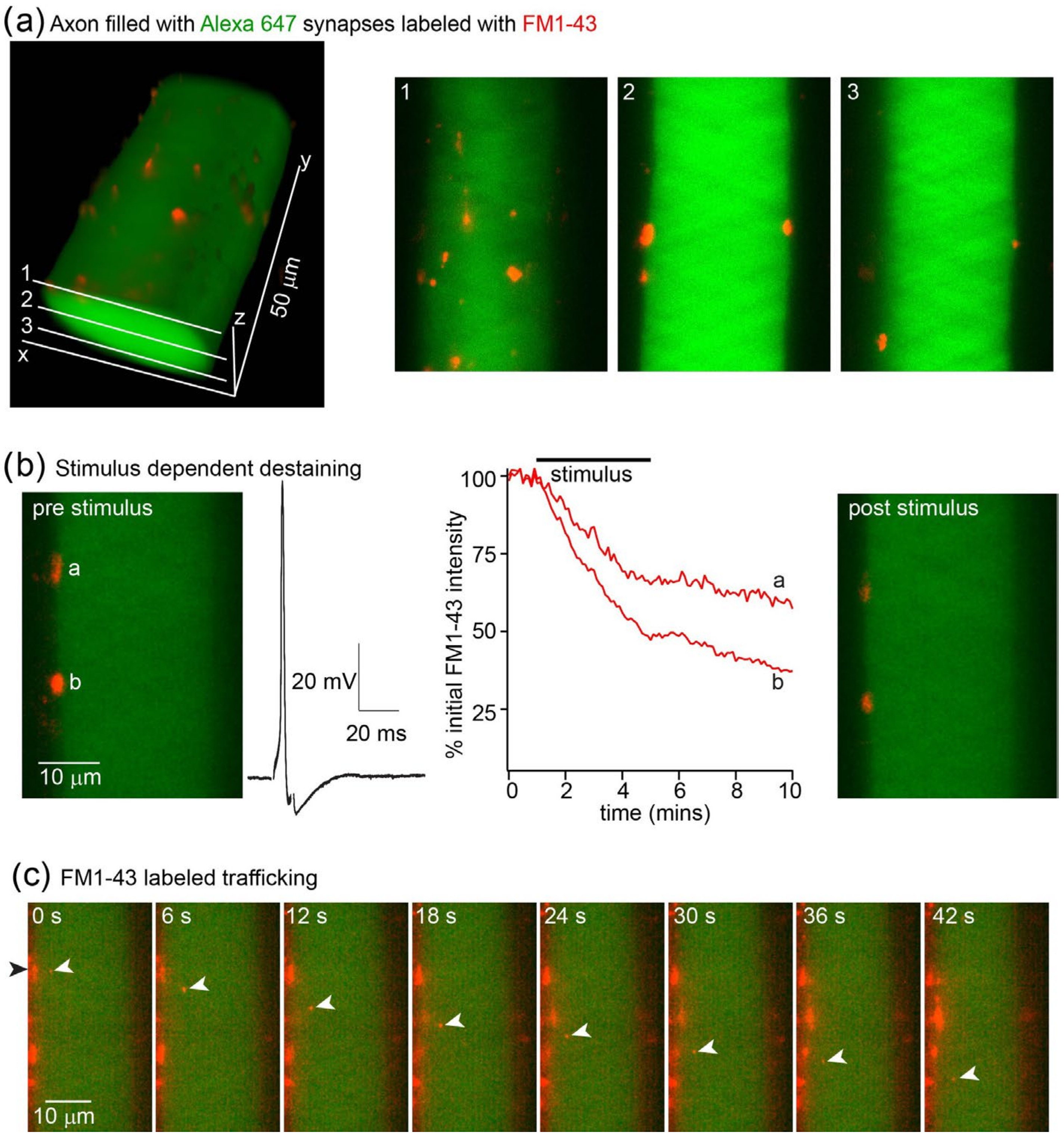 Jimaging 09 00121 g005 Jimaging 09 00121 g005