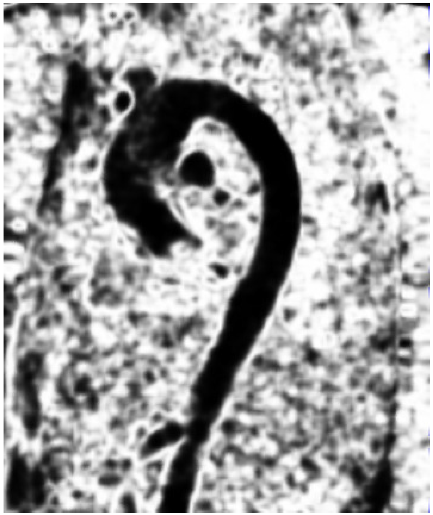 Jimaging 09 00123 g001 Jimaging 09 00123 g001