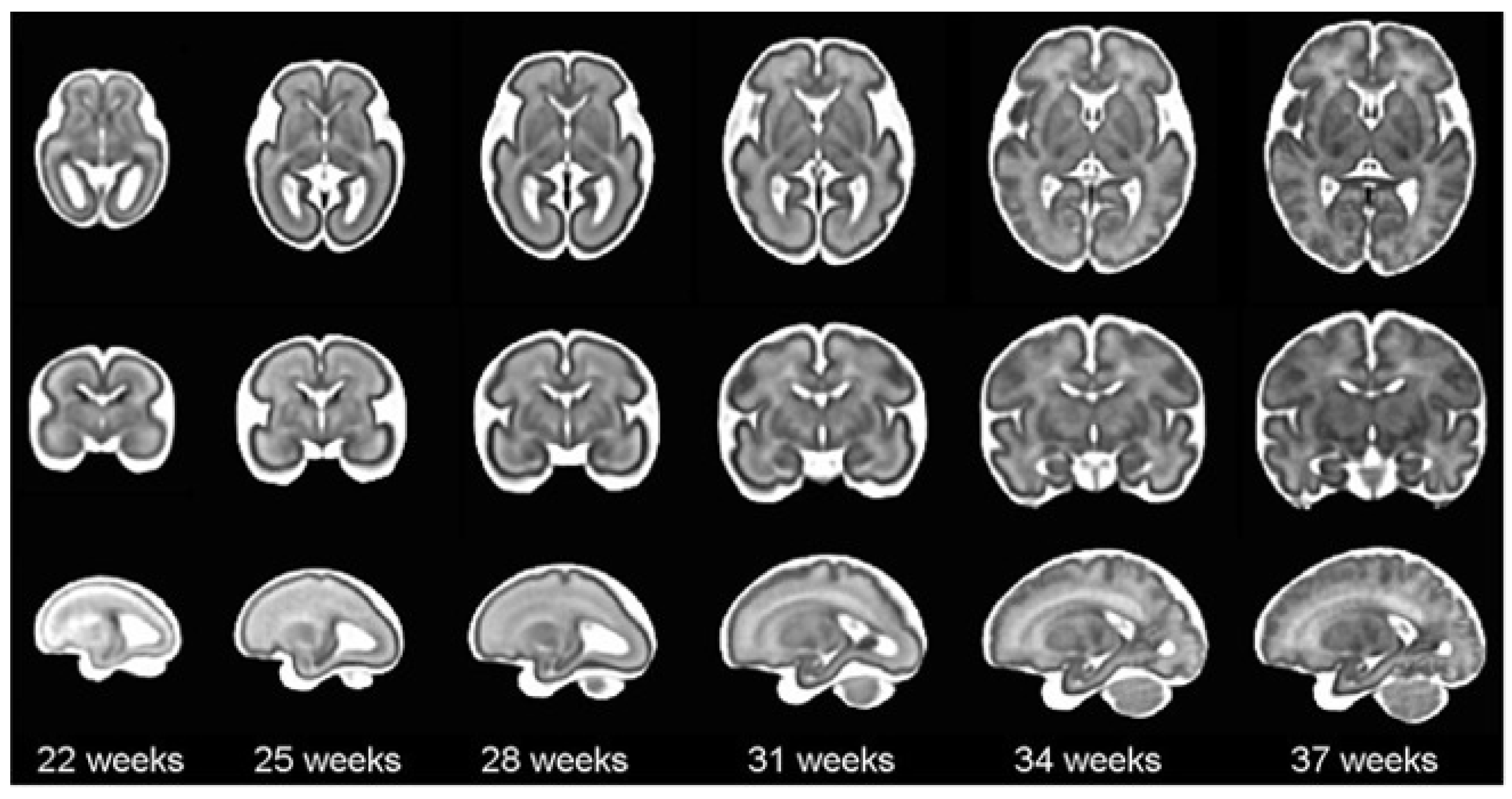 Jimaging 09 00145 g001