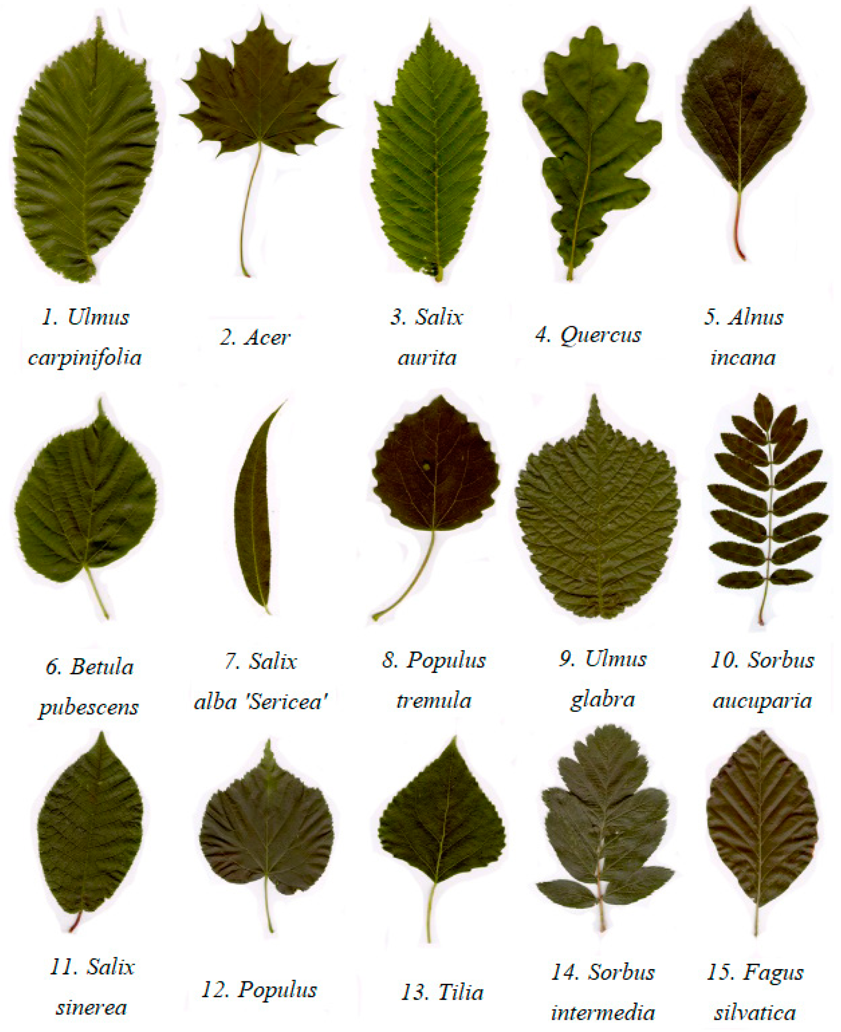 Jimaging 09 00154 g001