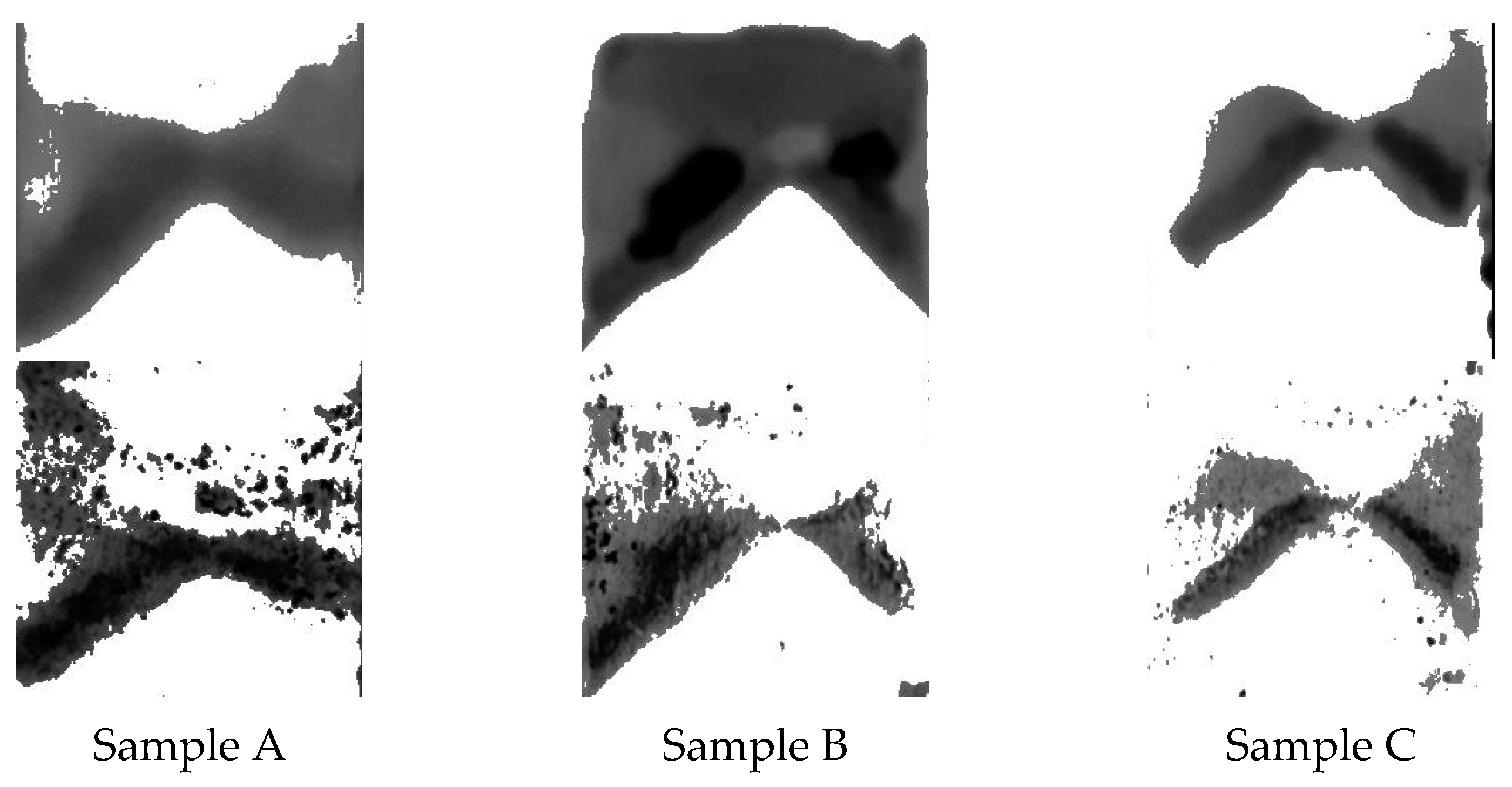 Jimaging 09 00160 g005