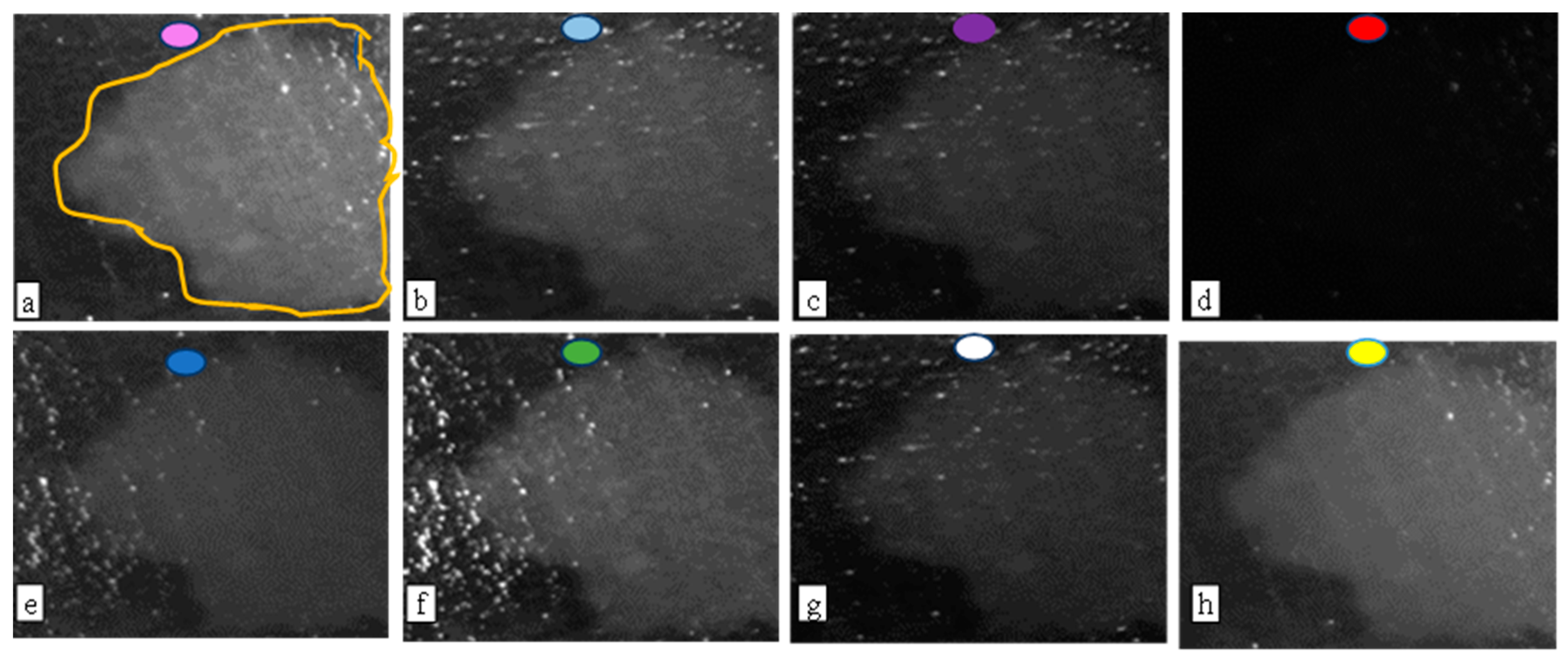 Jimaging 09 00160 g006