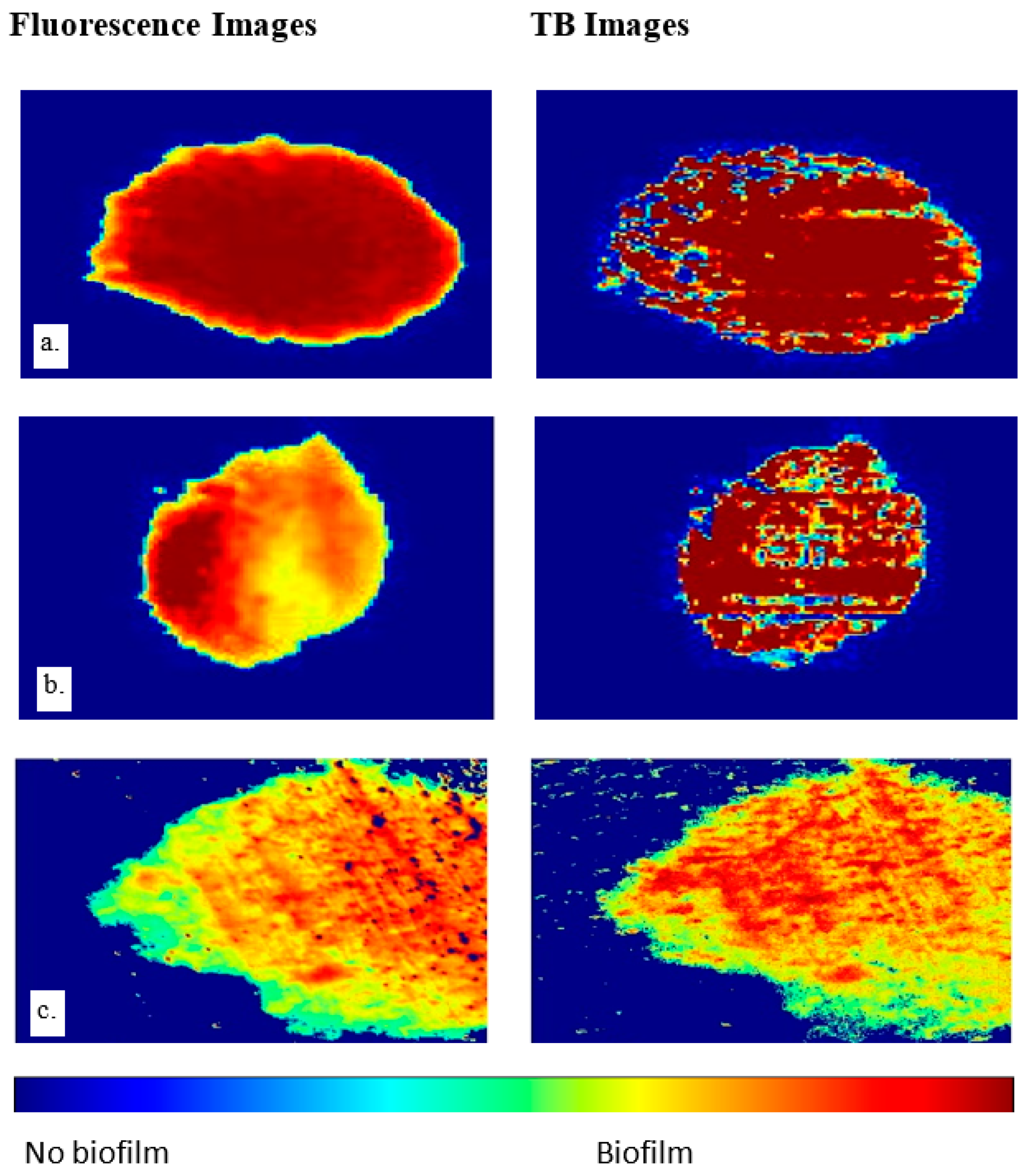 Jimaging 09 00160 g008