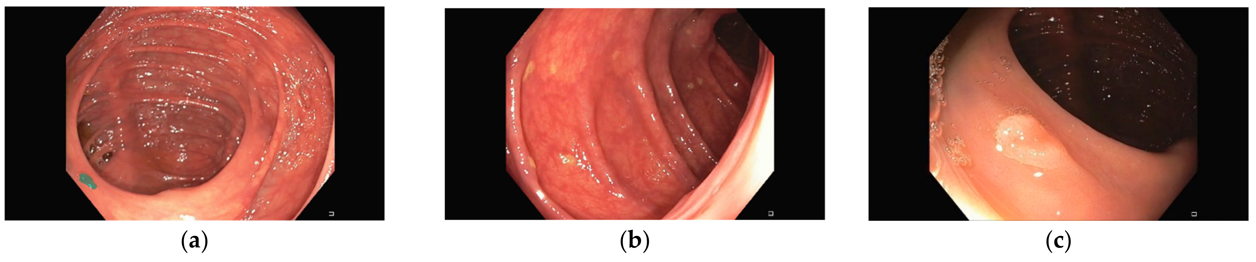 Jimaging 09 00167 g001a