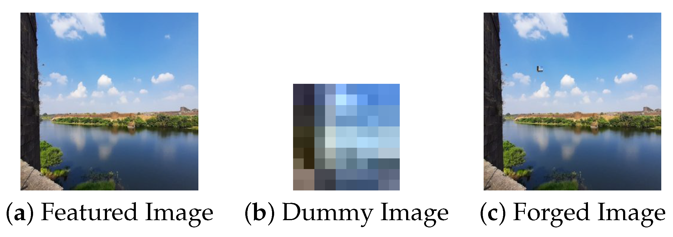 Jimaging 09 00172 g006