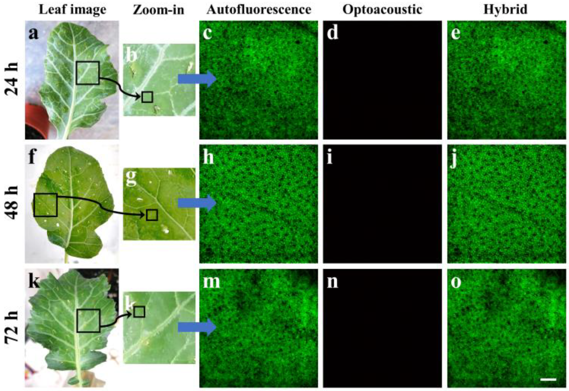 Jimaging 09 00176 g002
