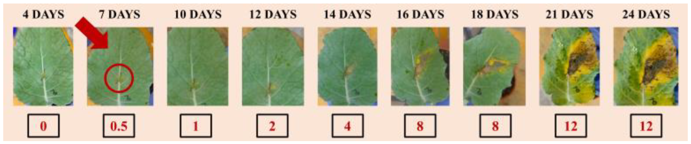 Jimaging 09 00176 g005