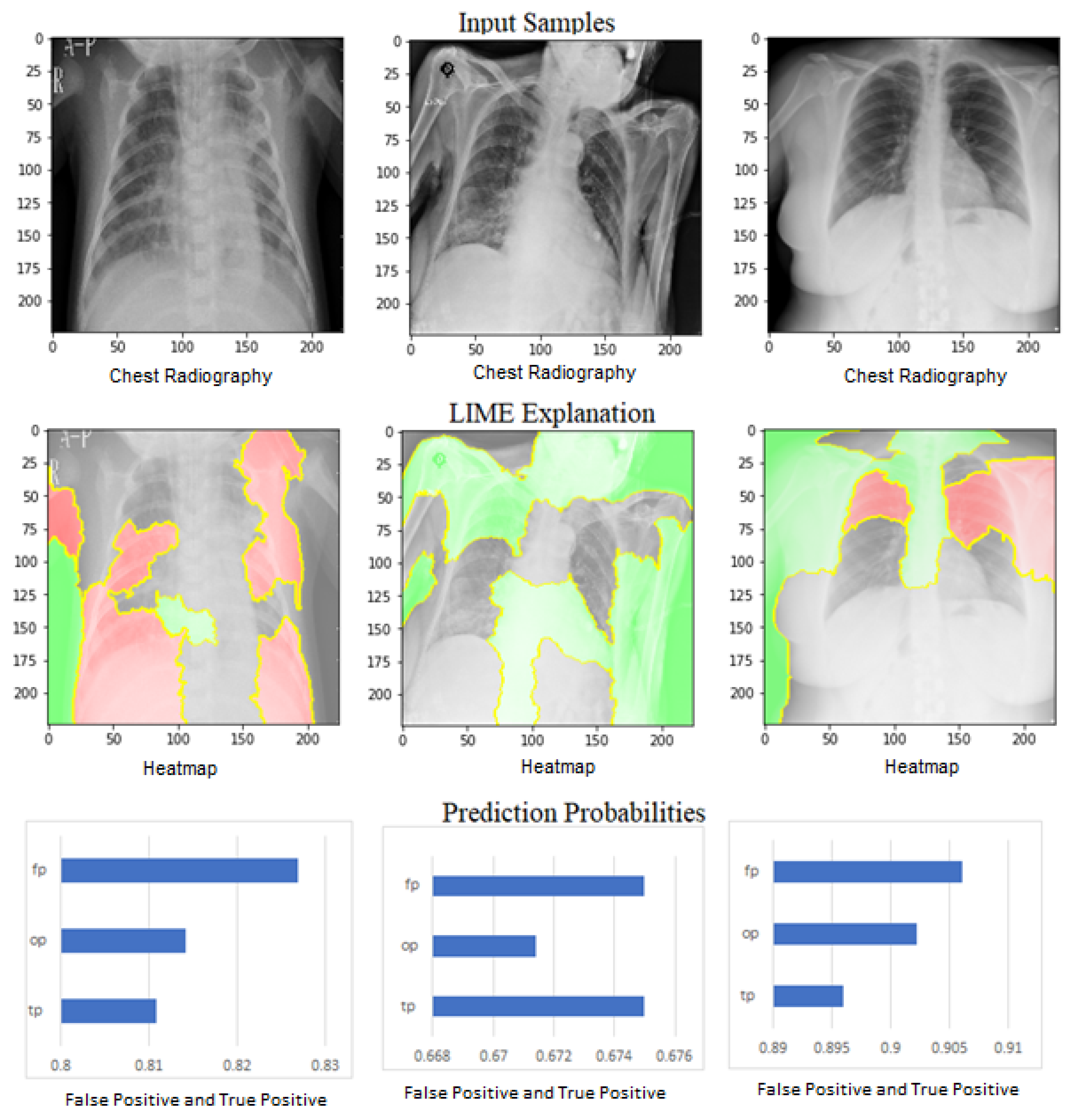 Explainable Artificial Intelligence (XAI) for Deep Learning Based ...
