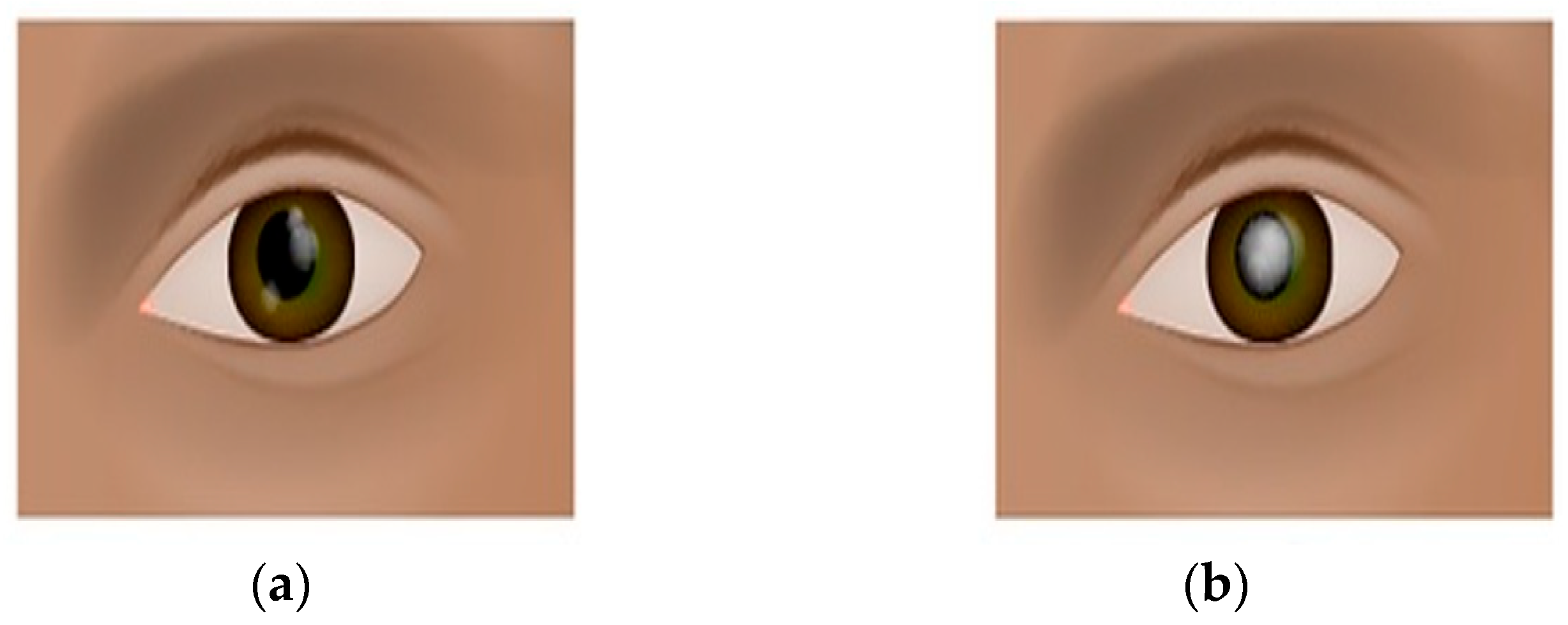 Jimaging 09 00197 g001