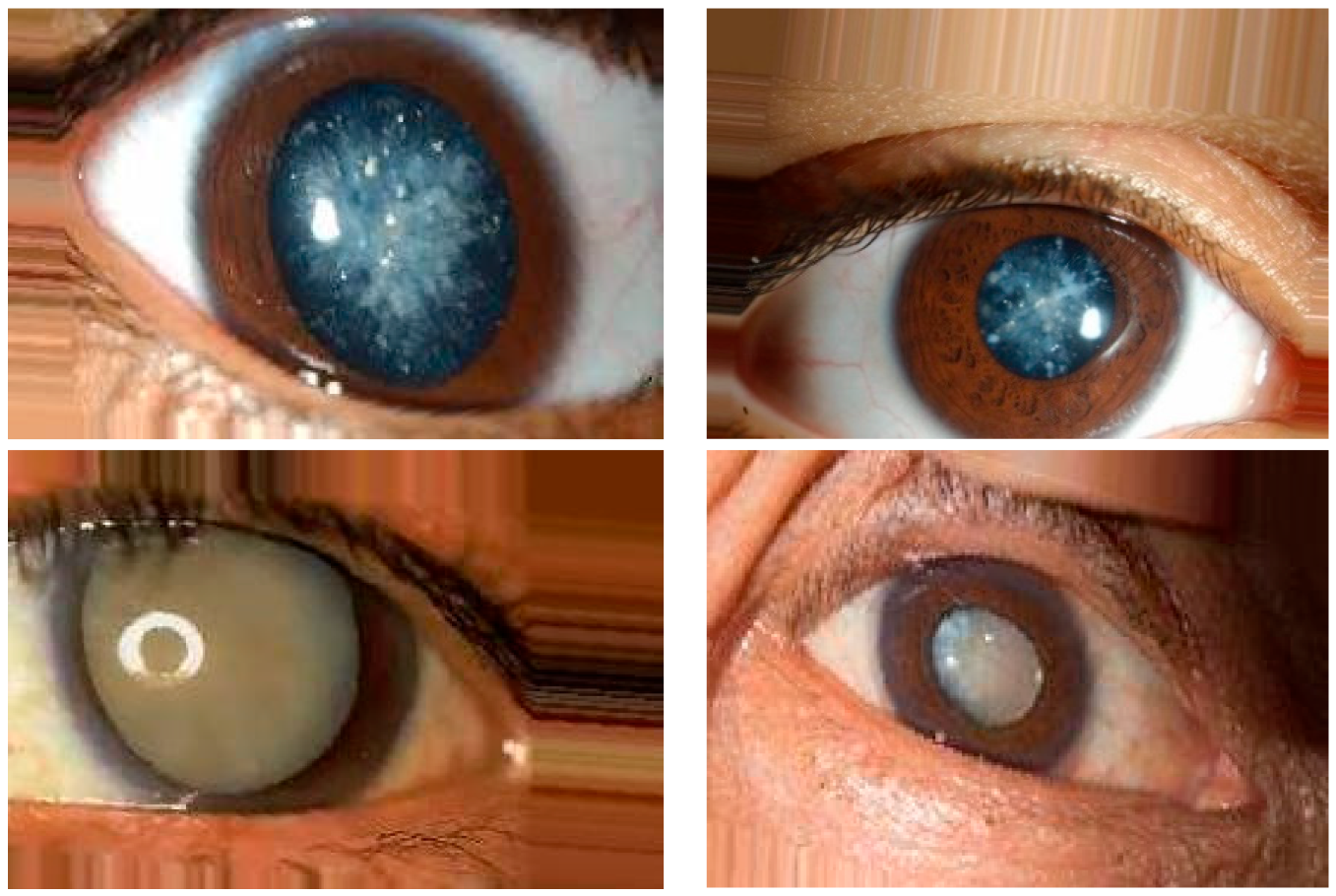 Jimaging 09 00197 g008