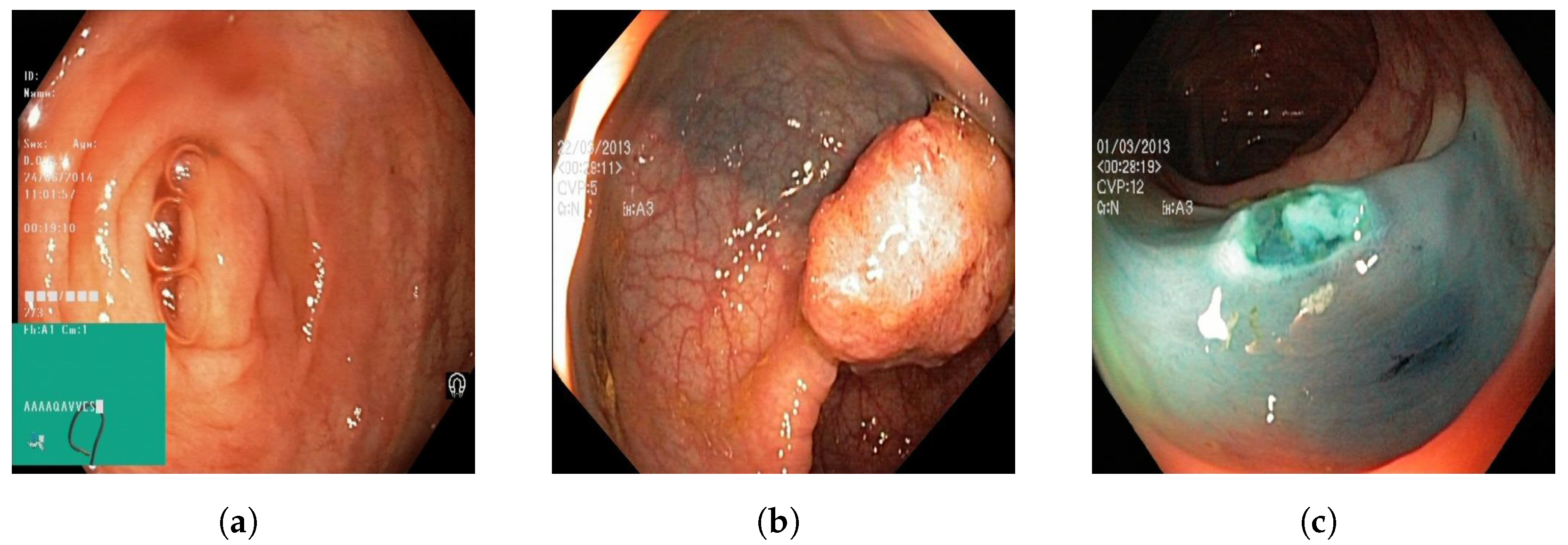 Jimaging 09 00215 g001