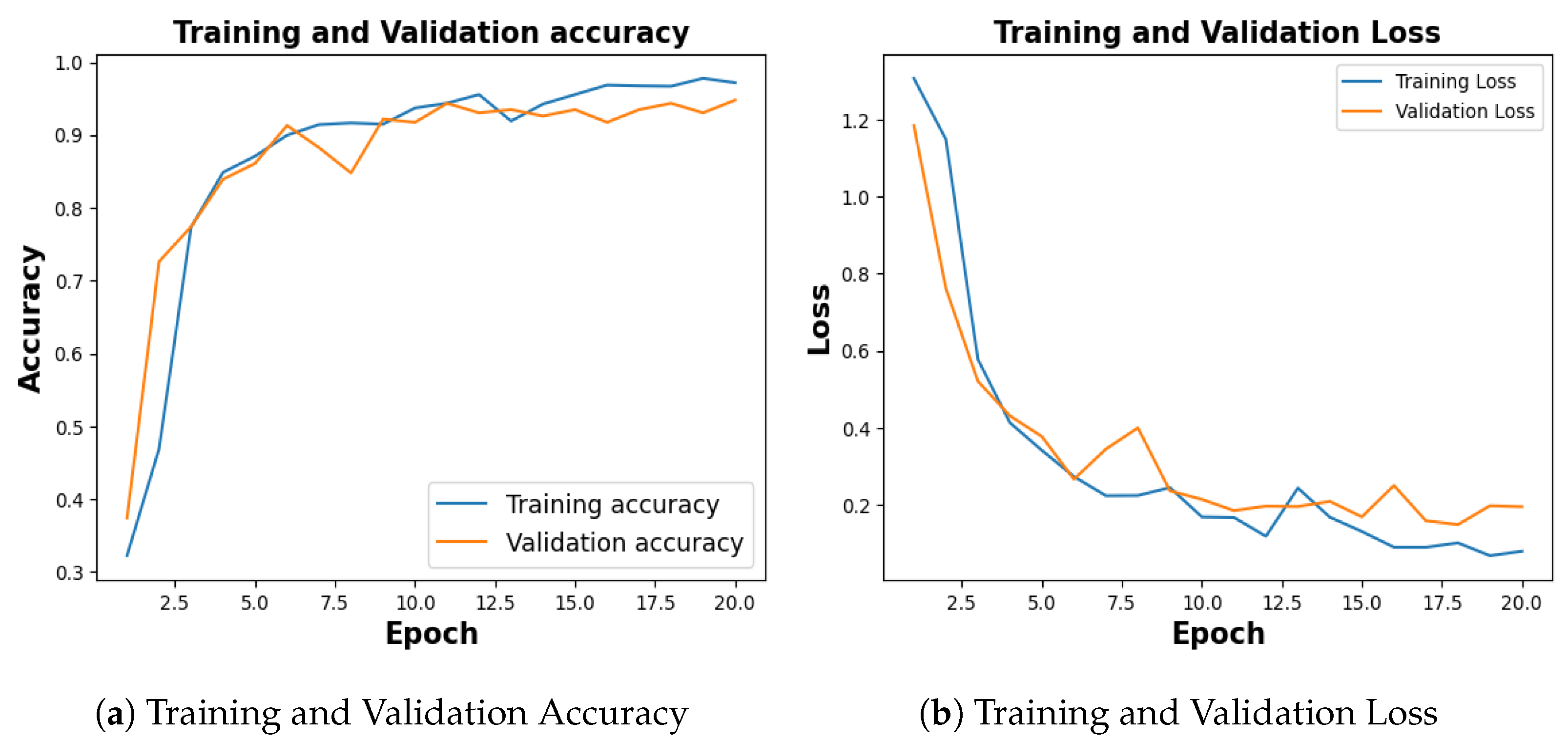 Jimaging 09 00219 g012