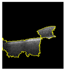 Jimaging 09 00219 i004