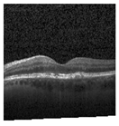 Jimaging 09 00219 i005