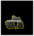 Jimaging 09 00219 i006