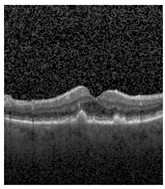 Jimaging 09 00219 i009