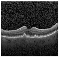 Jimaging 09 00219 i010