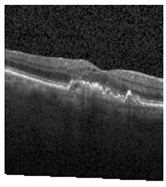 Jimaging 09 00219 i015