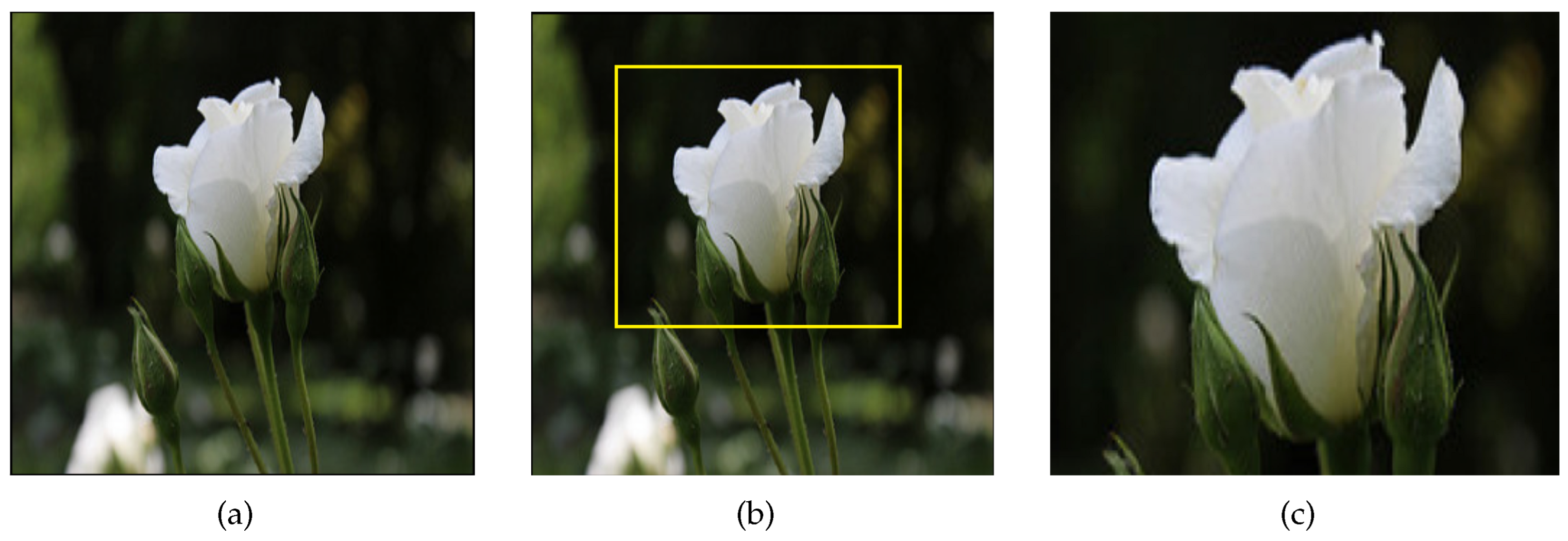 Jimaging 09 00224 g005