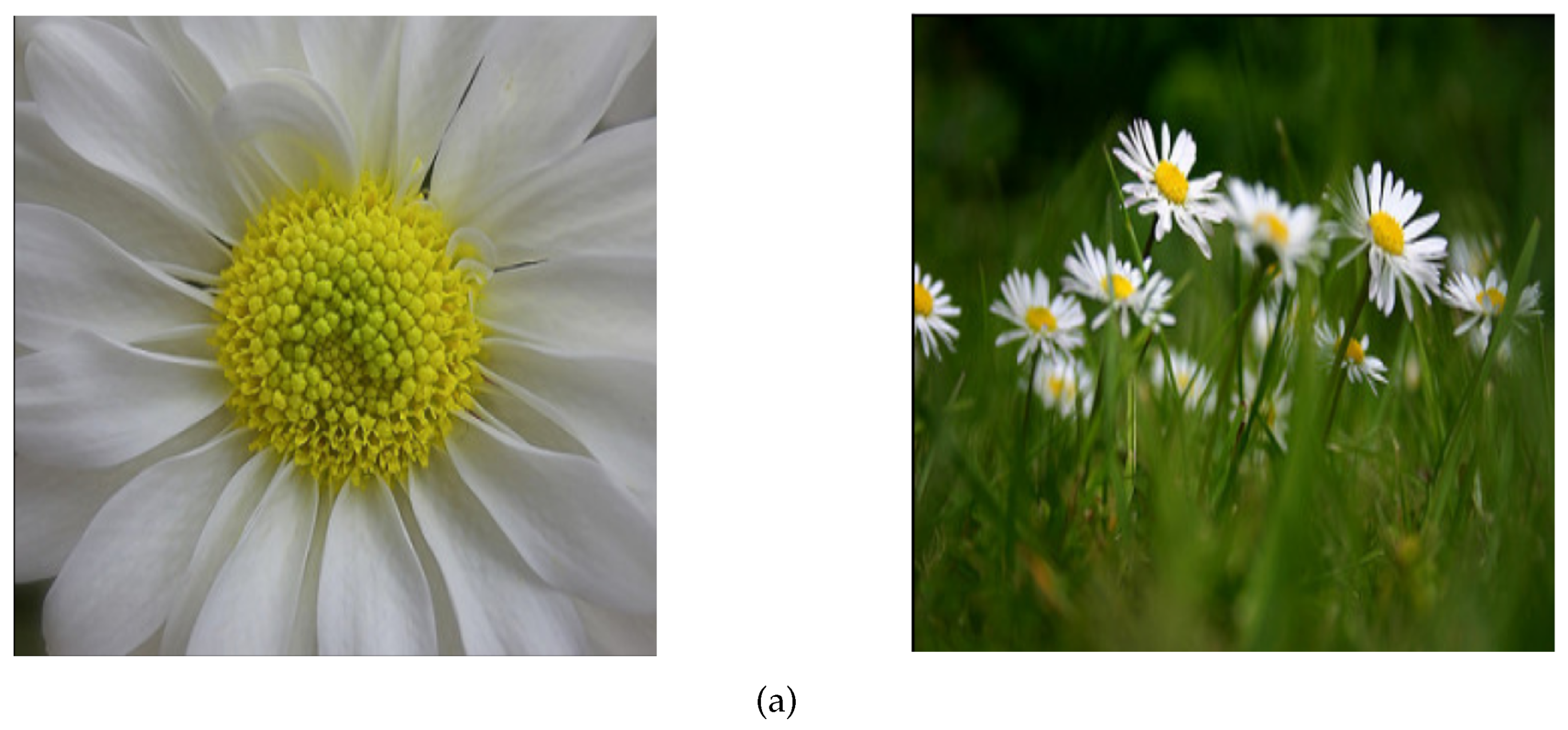 Jimaging 09 00224 g006a