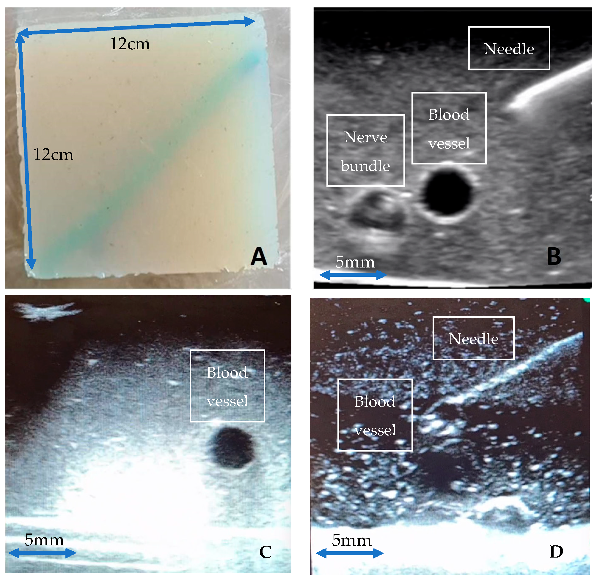 Jimaging 09 00225 g001