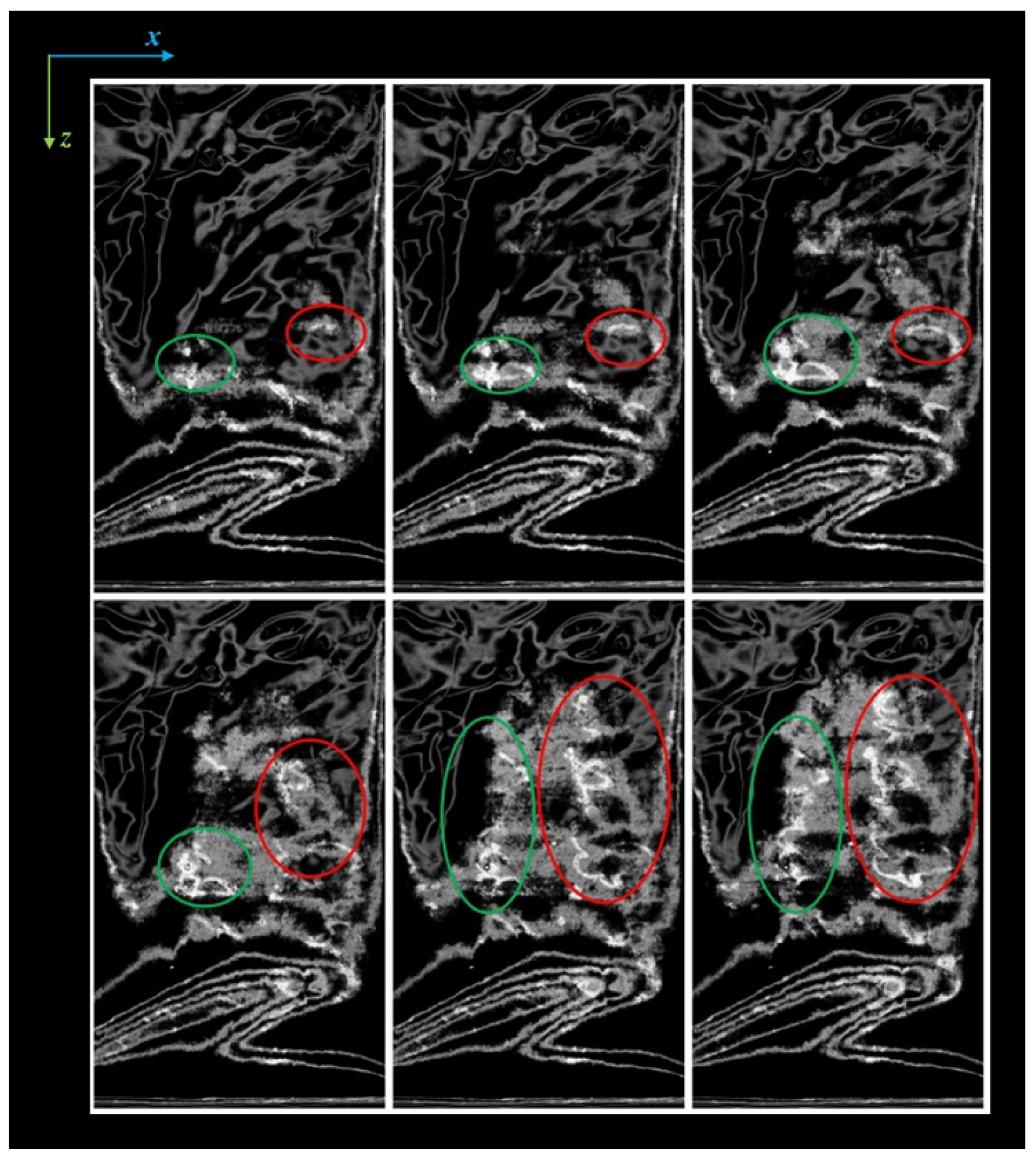 Jimaging 09 00230 g003
