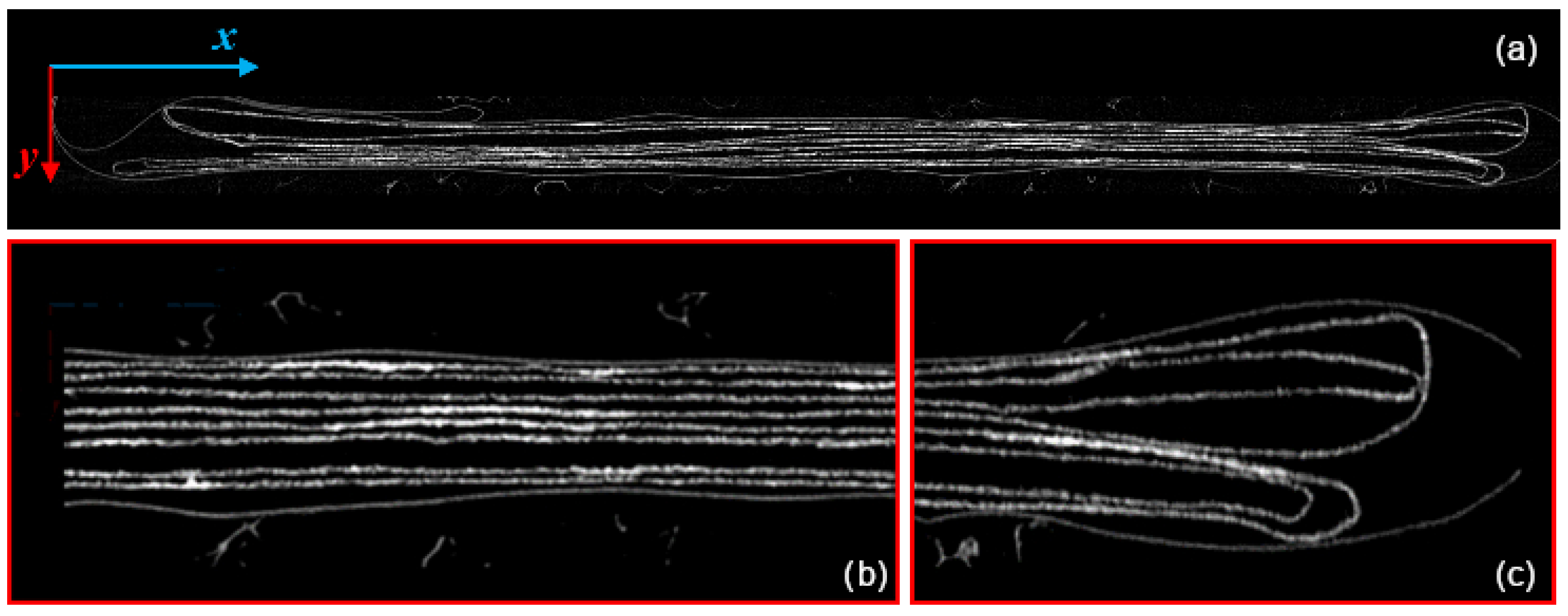 Jimaging 09 00230 g004