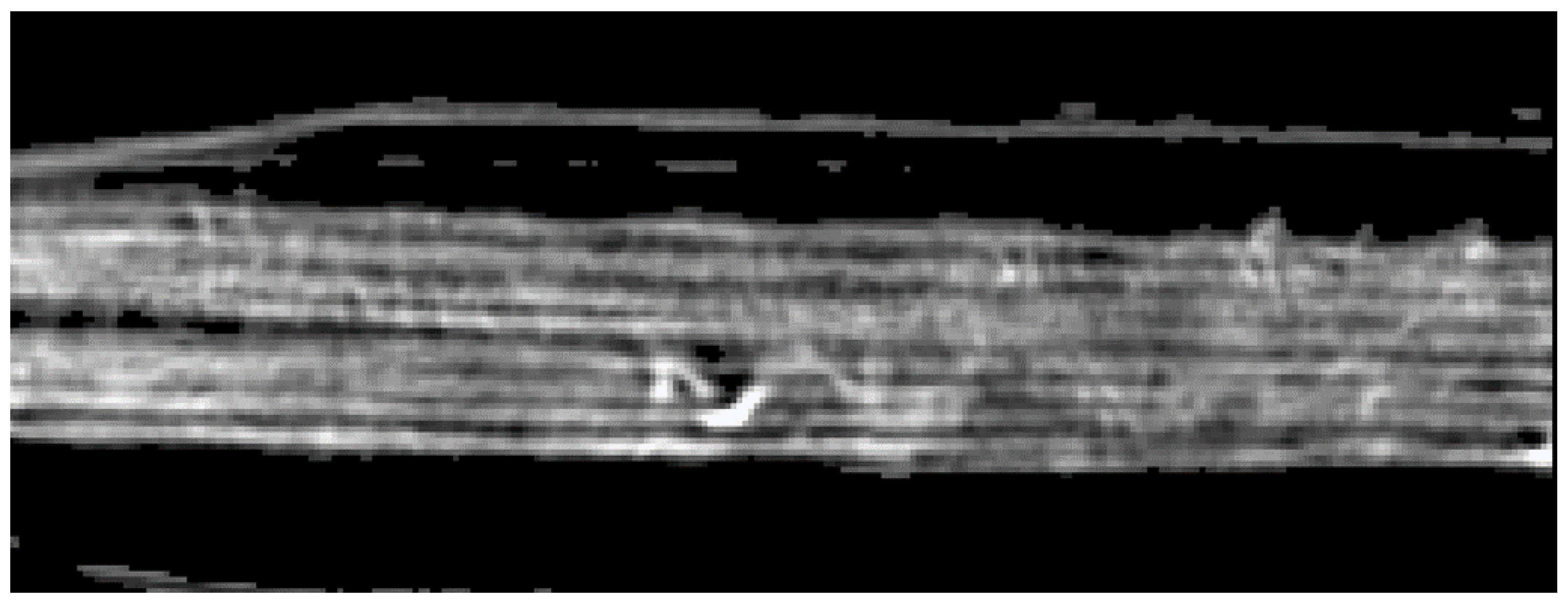 Jimaging 09 00230 g025