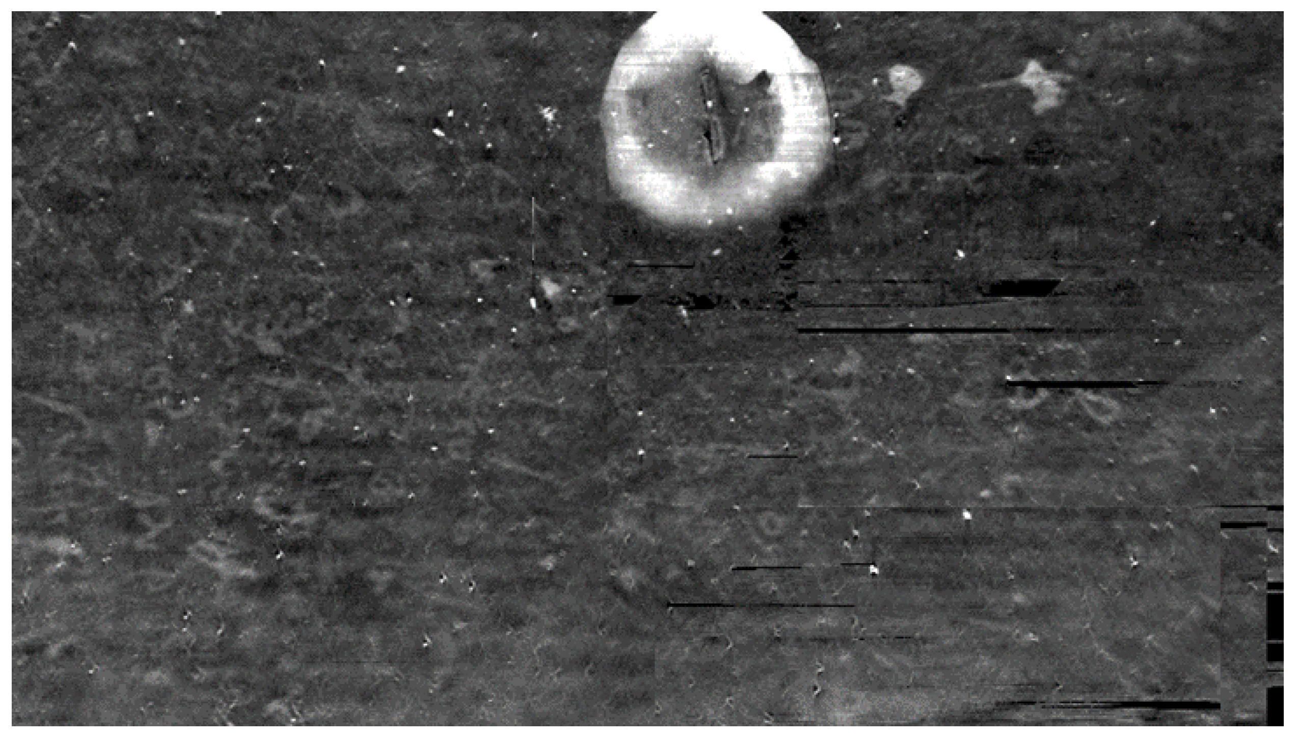 Jimaging 09 00230 g027