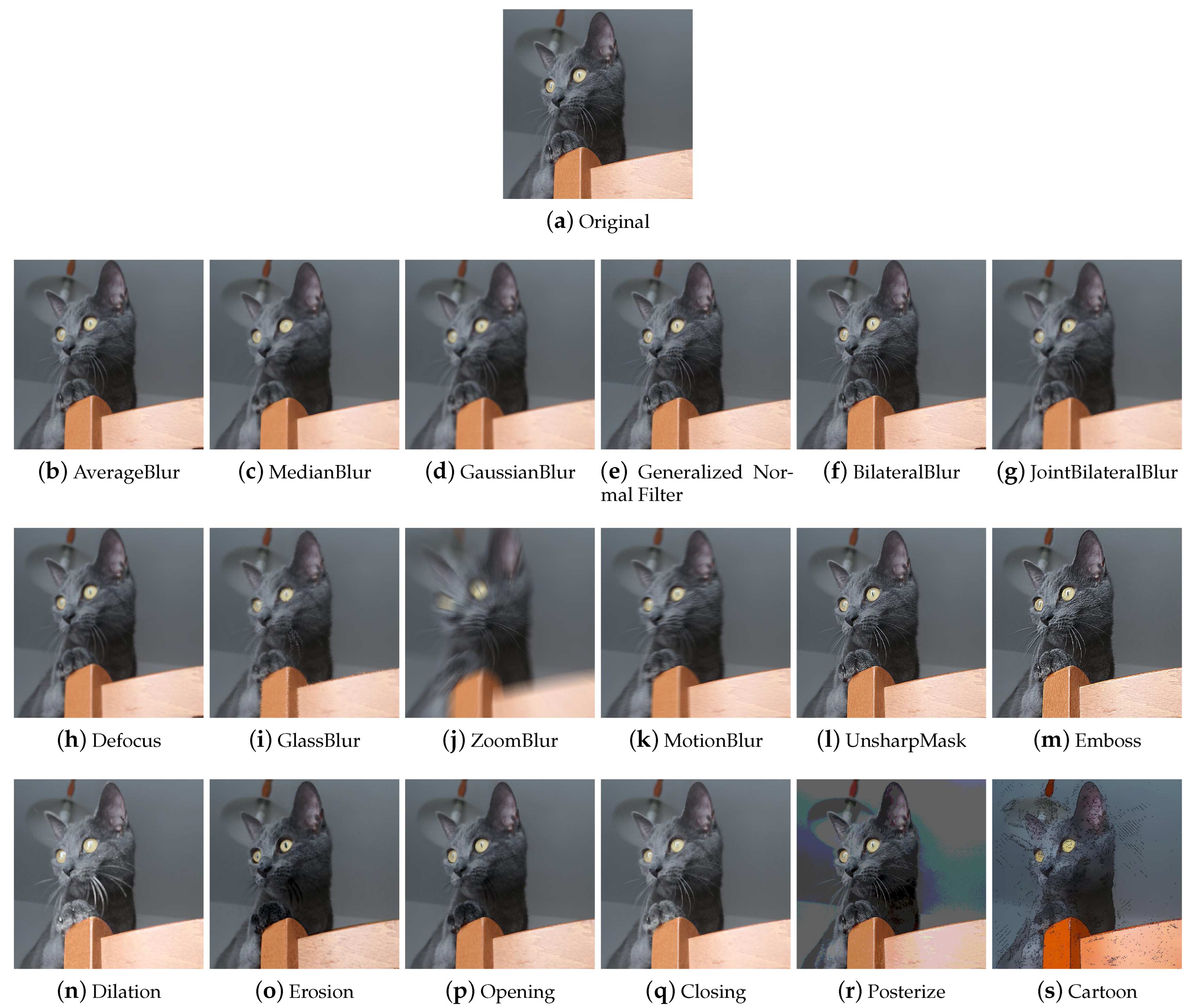 Jimaging 09 00232 g008