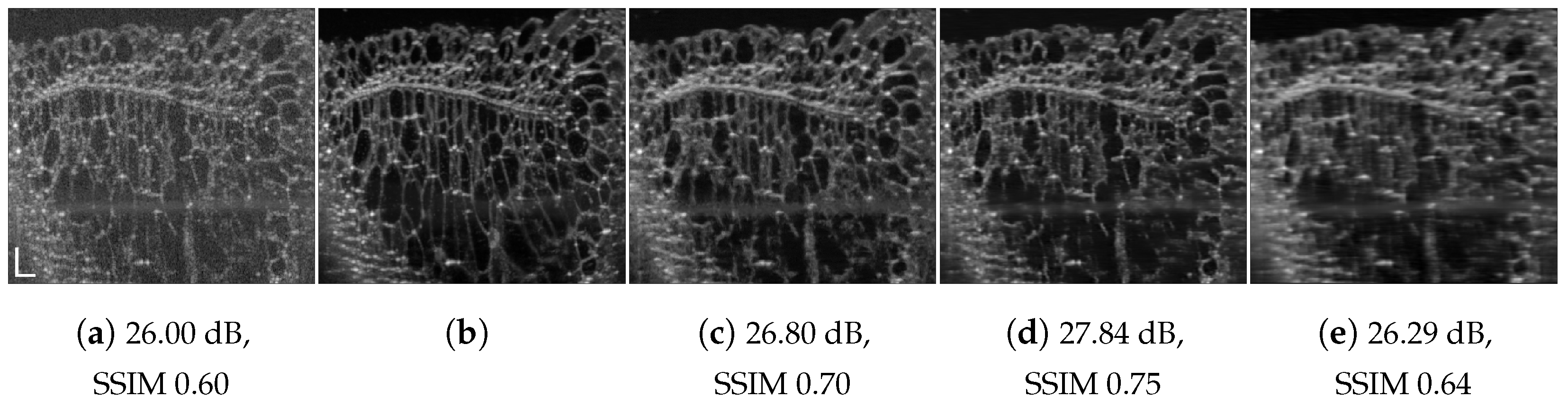 Jimaging 09 00237 g008
