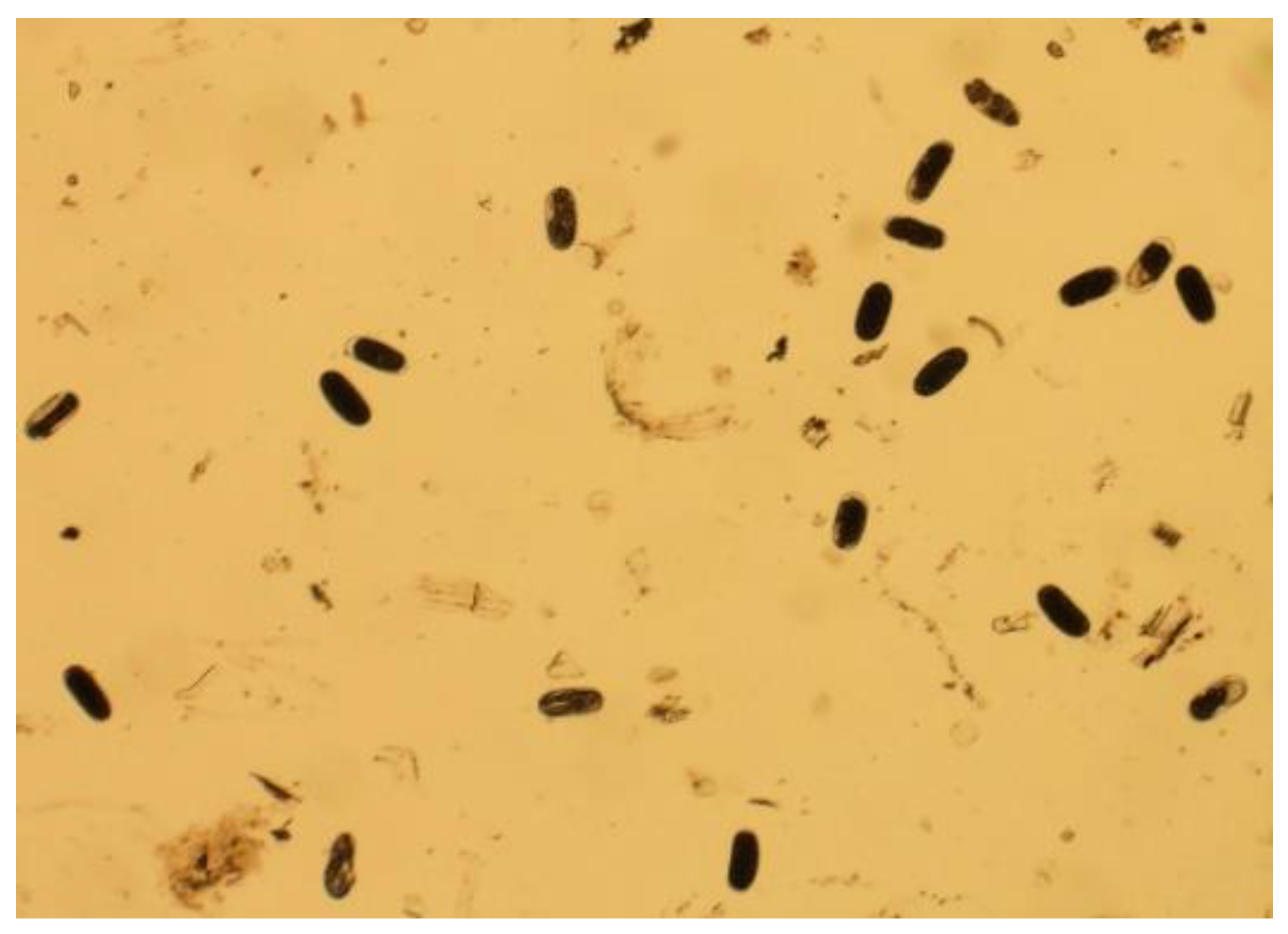 Jimaging 09 00240 g002