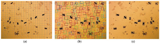 A Deep Learning-Based Decision Support Tool for Plant-Parasitic ...