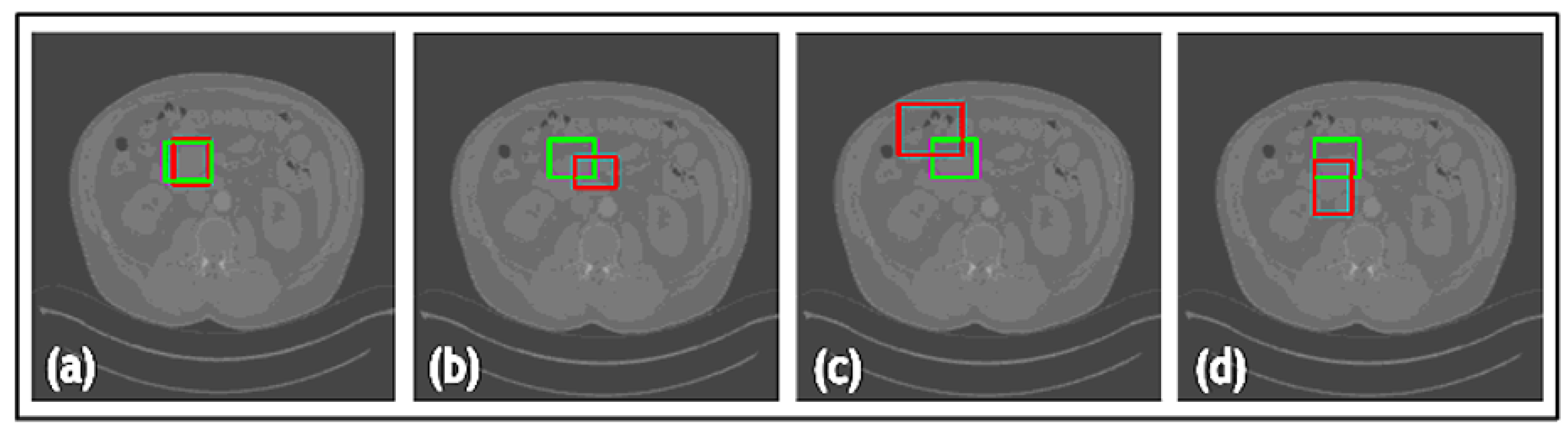 Jimaging 09 00244 g009