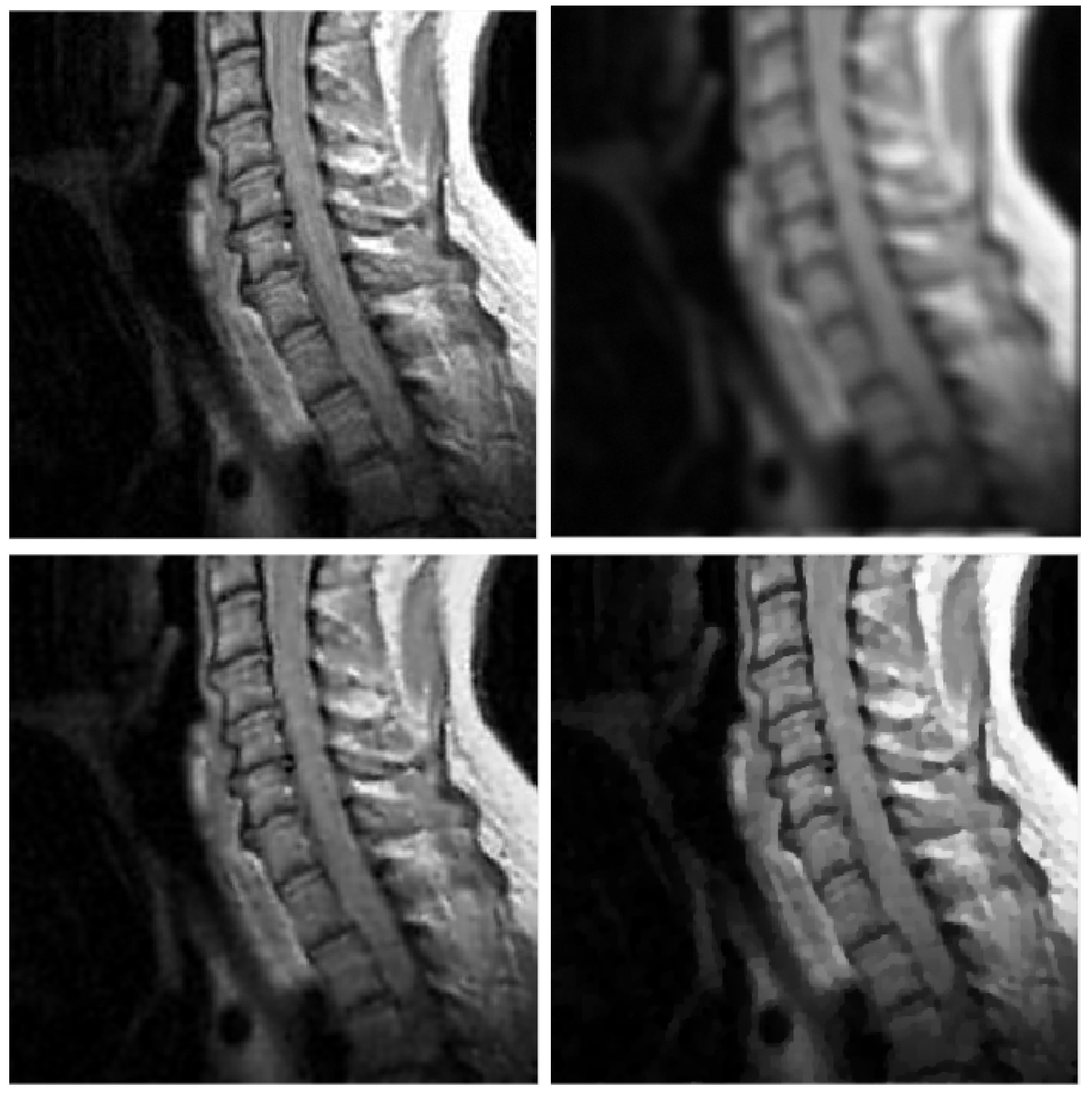 Jimaging 09 00249 g002 Jimaging 09 00249 g002