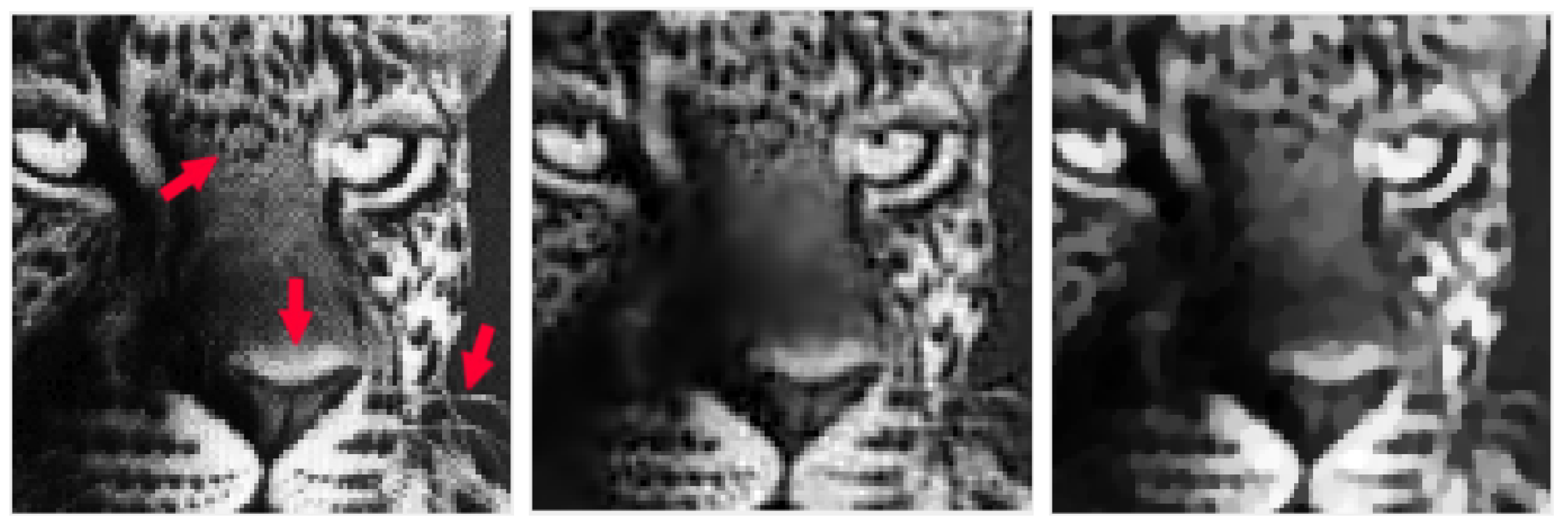 Jimaging 09 00249 g007 Jimaging 09 00249 g007