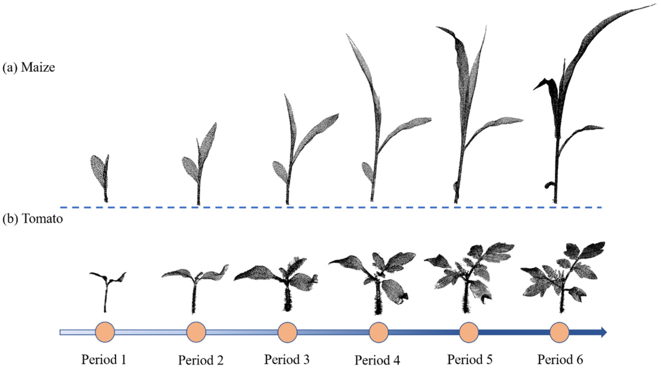 Jimaging 09 00258 g001