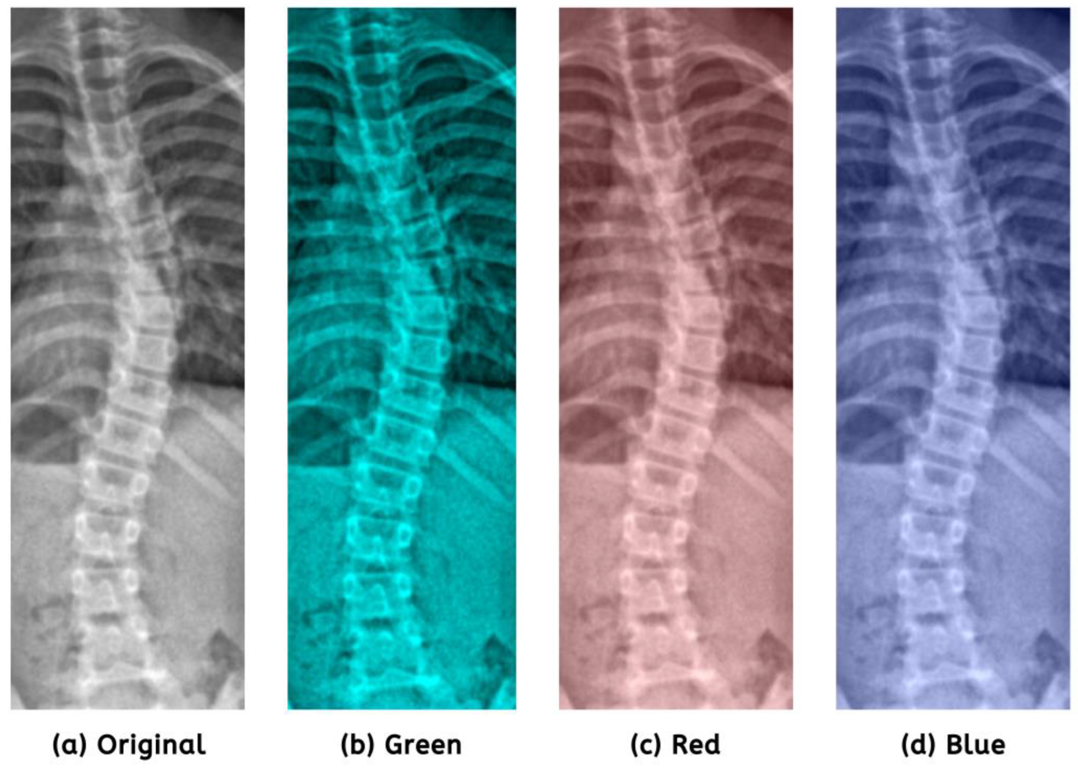 Jimaging 09 00265 g004