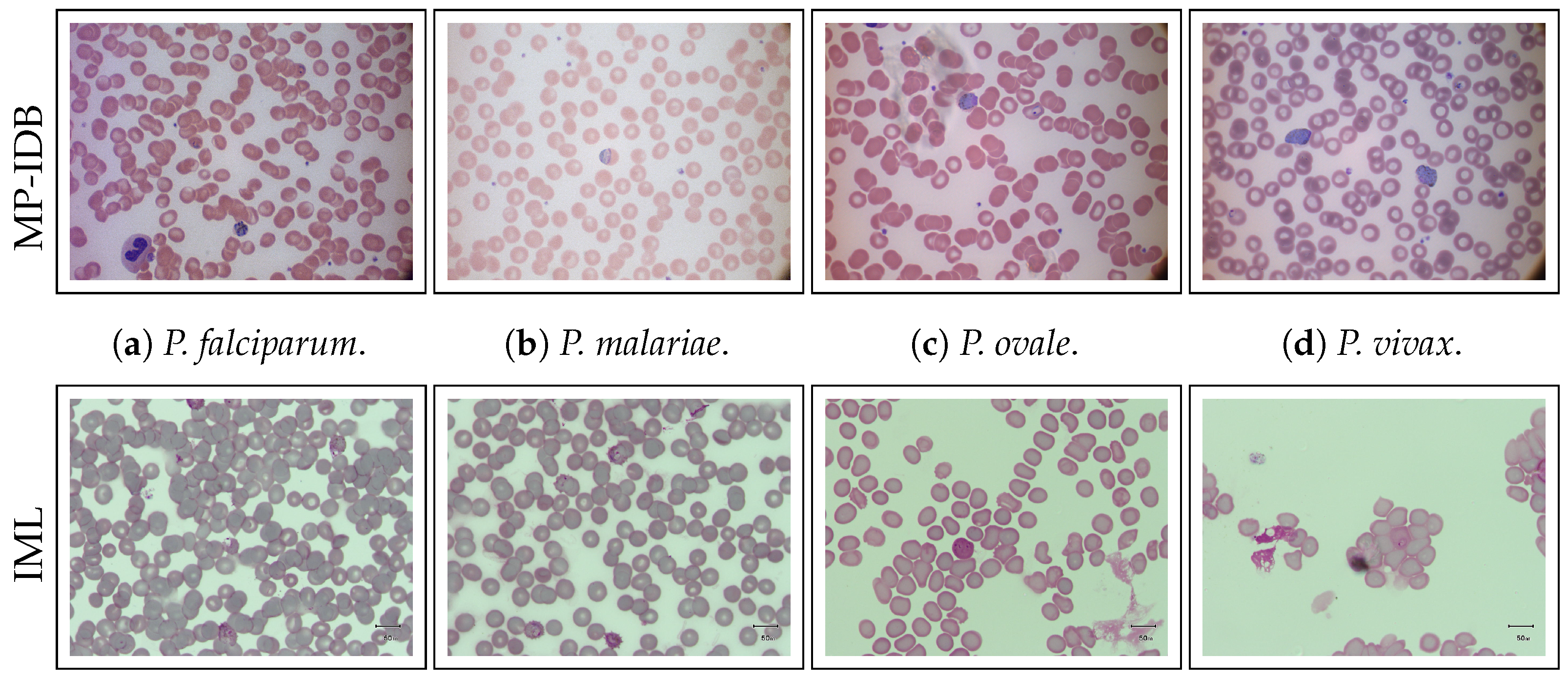 Jimaging 09 00266 g001