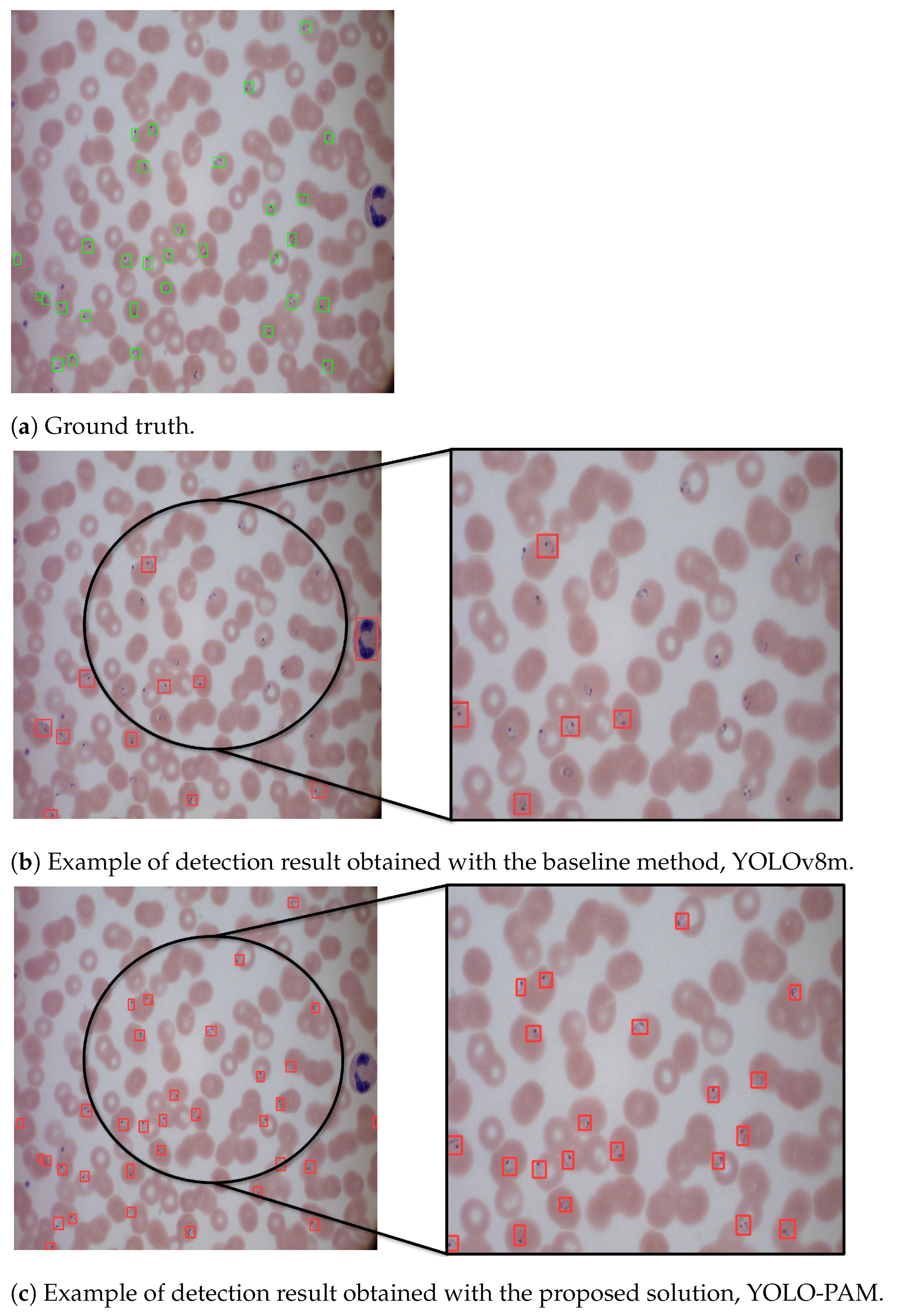 Jimaging 09 00266 g004