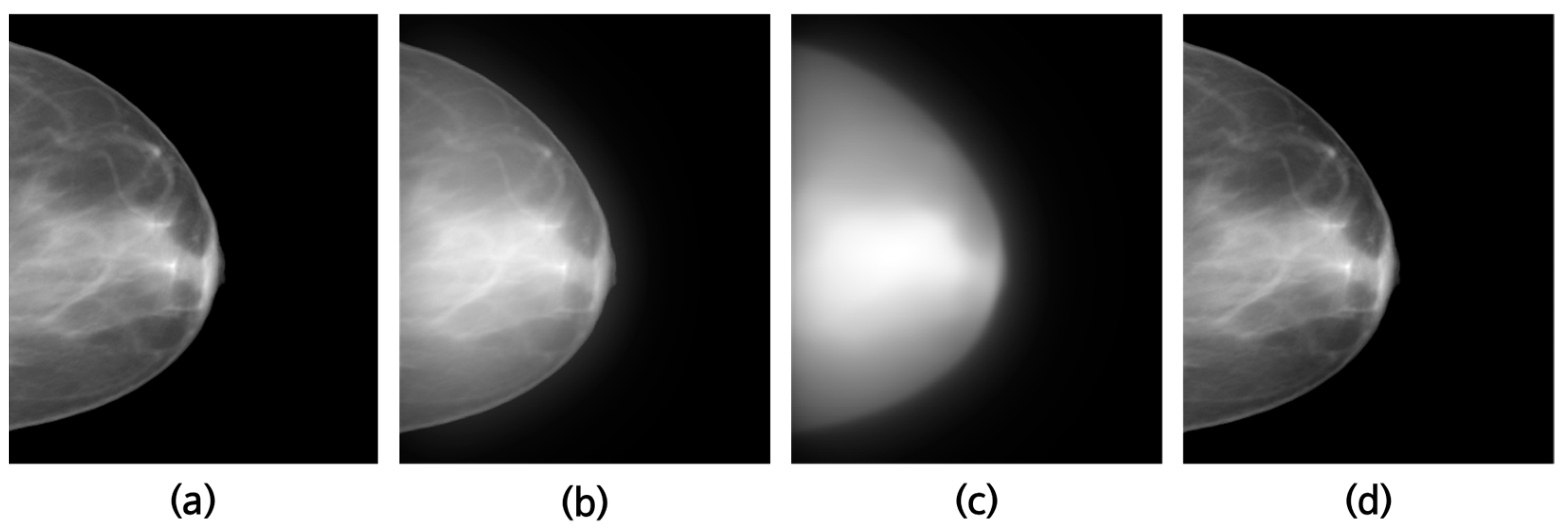 Jimaging 09 00272 g004