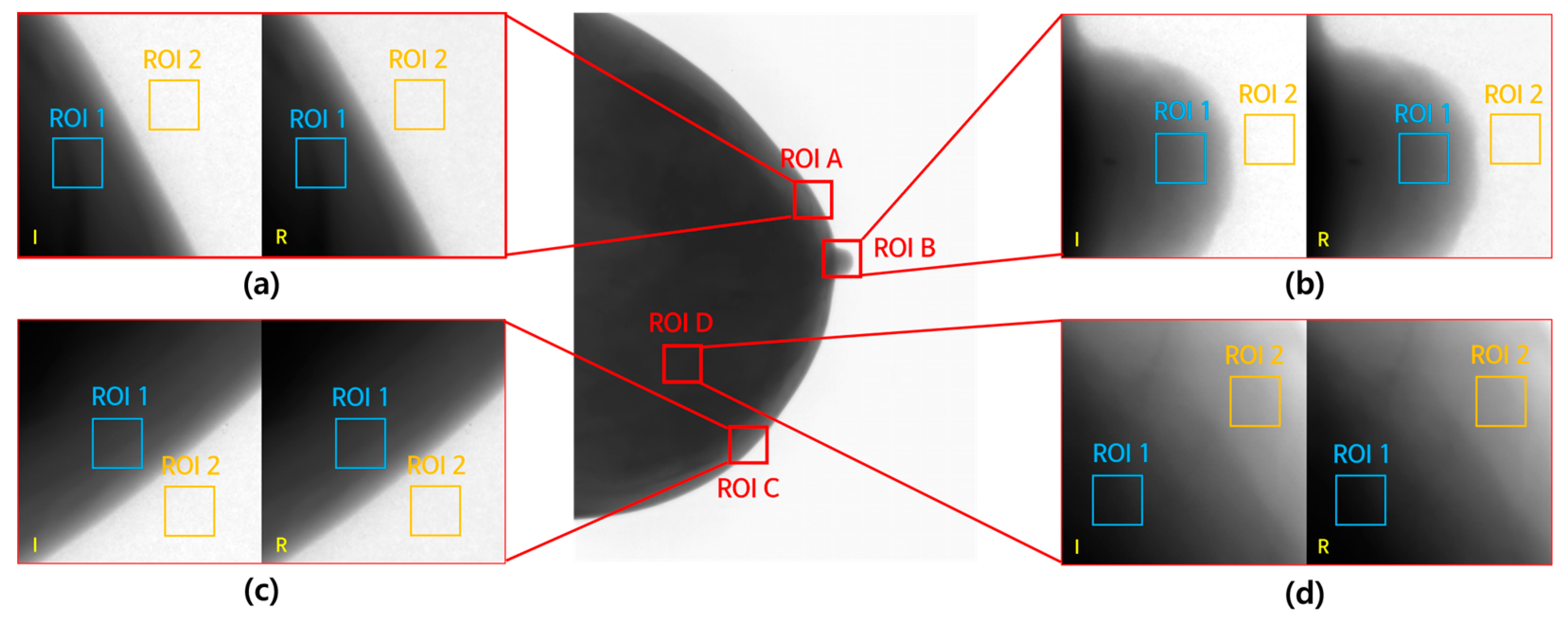 Jimaging 09 00272 g007