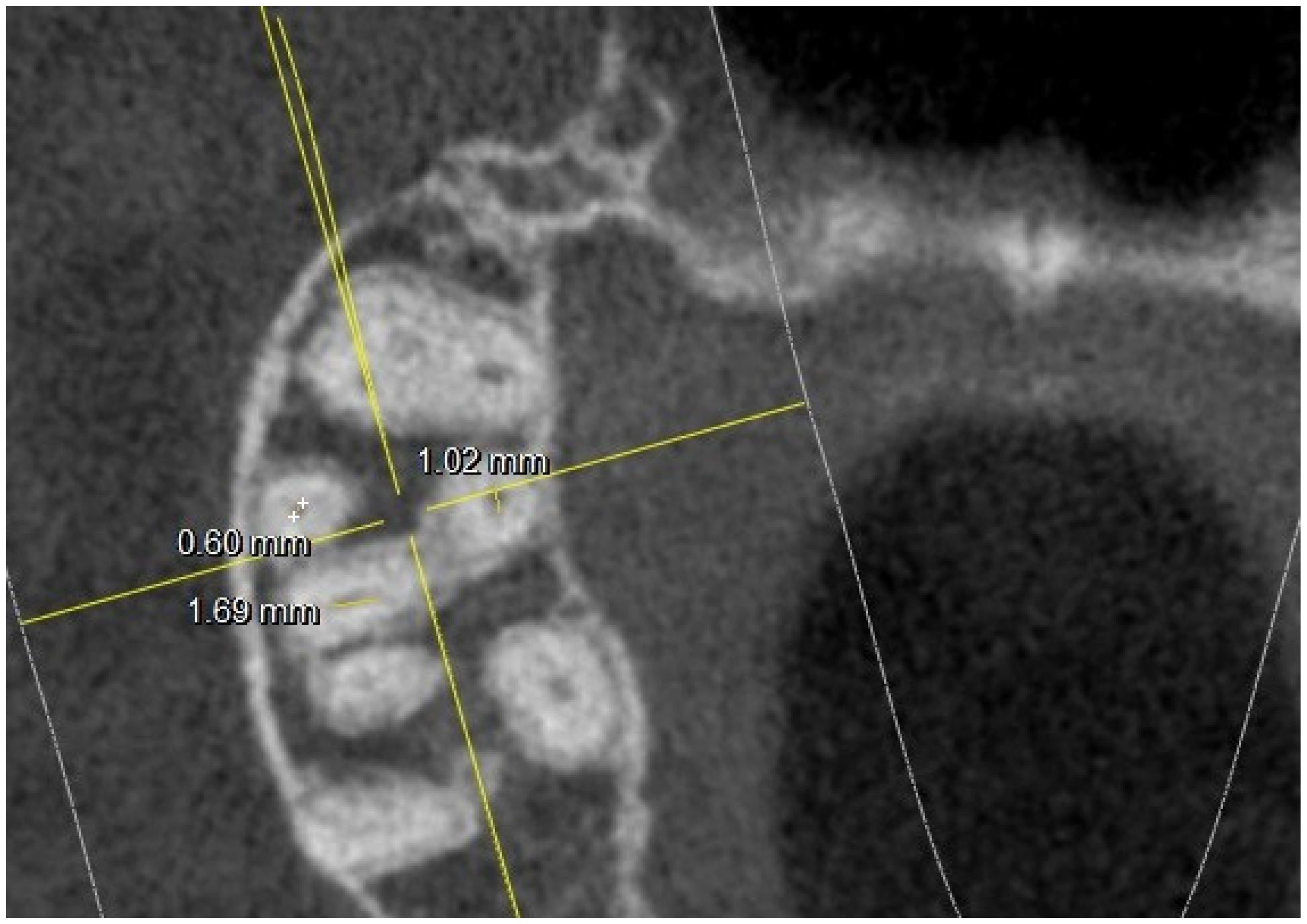 Jimaging 10 00009 g007