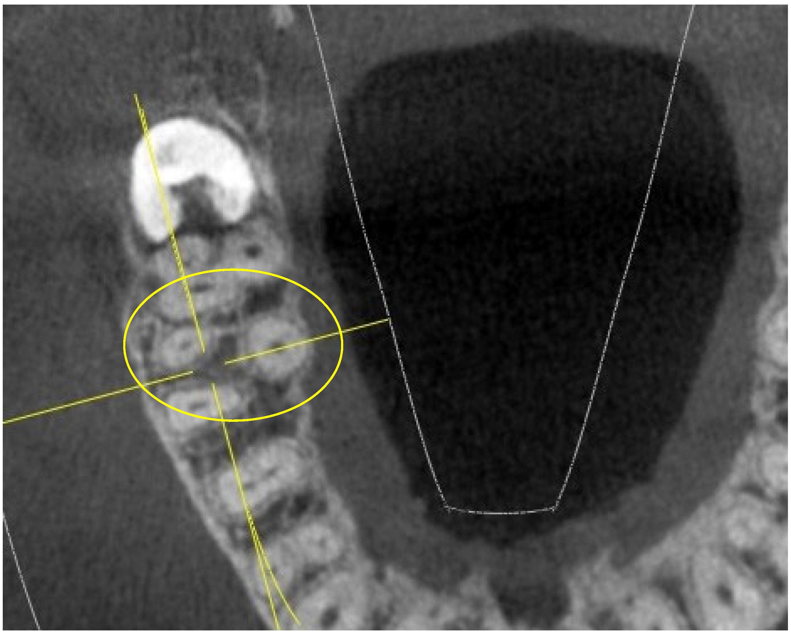 Jimaging 10 00009 g009