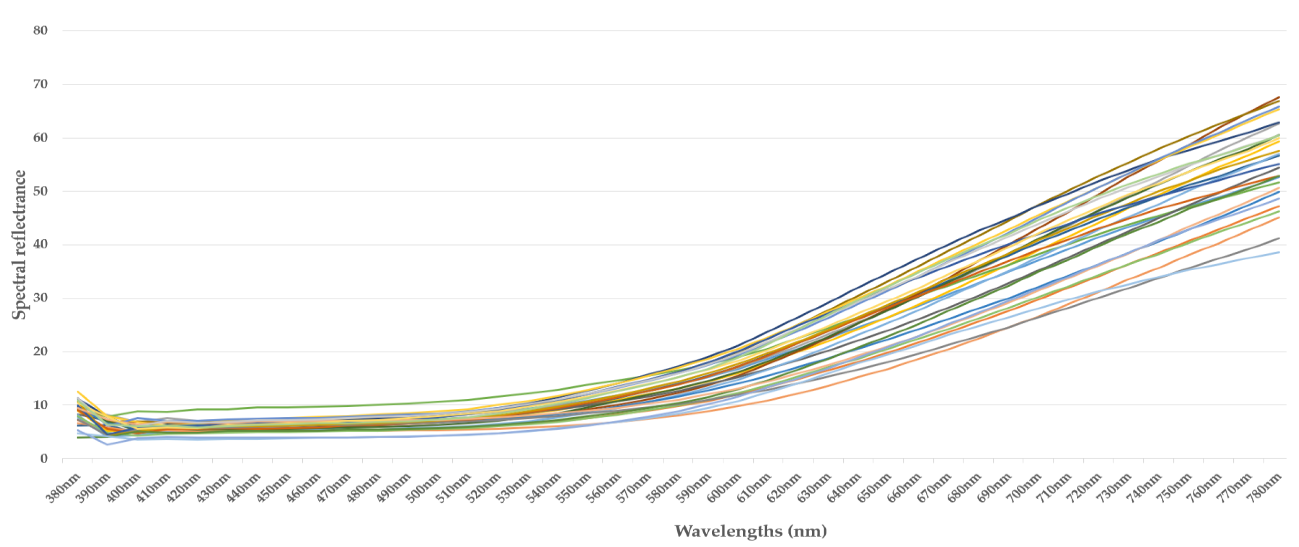 Jimaging 10 00019 g002