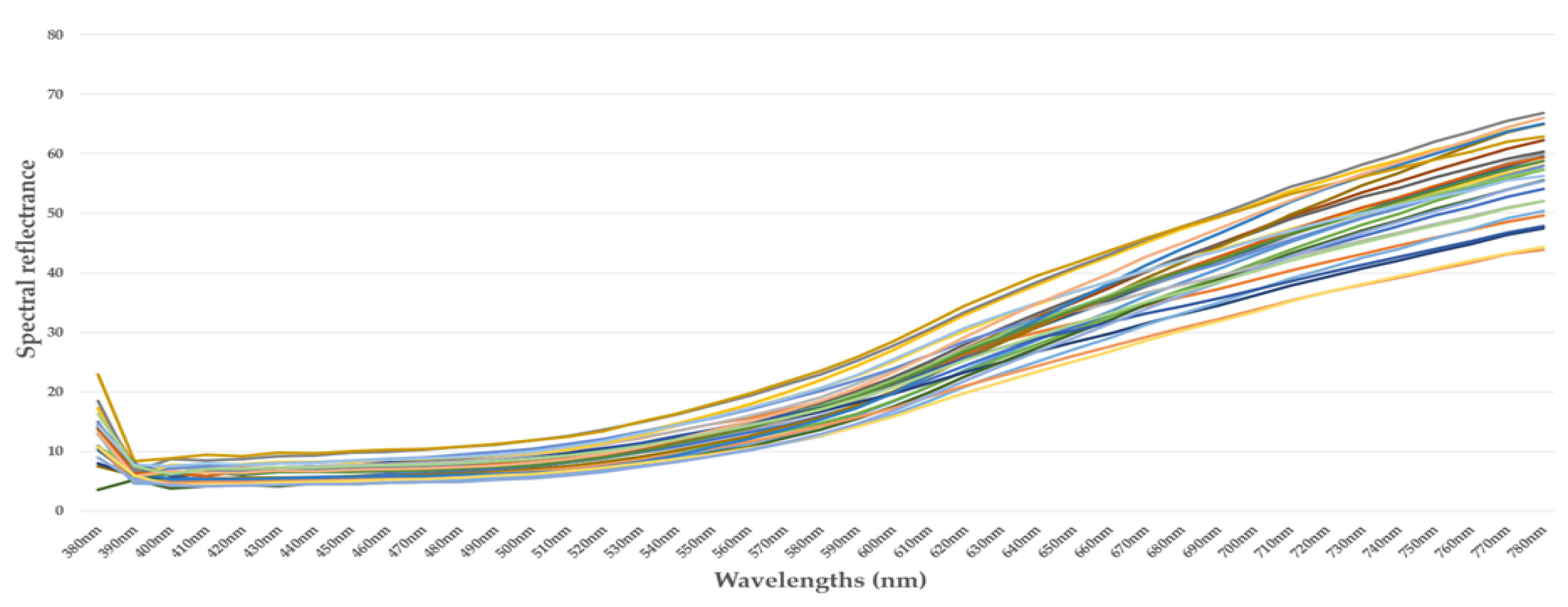 Jimaging 10 00019 g004