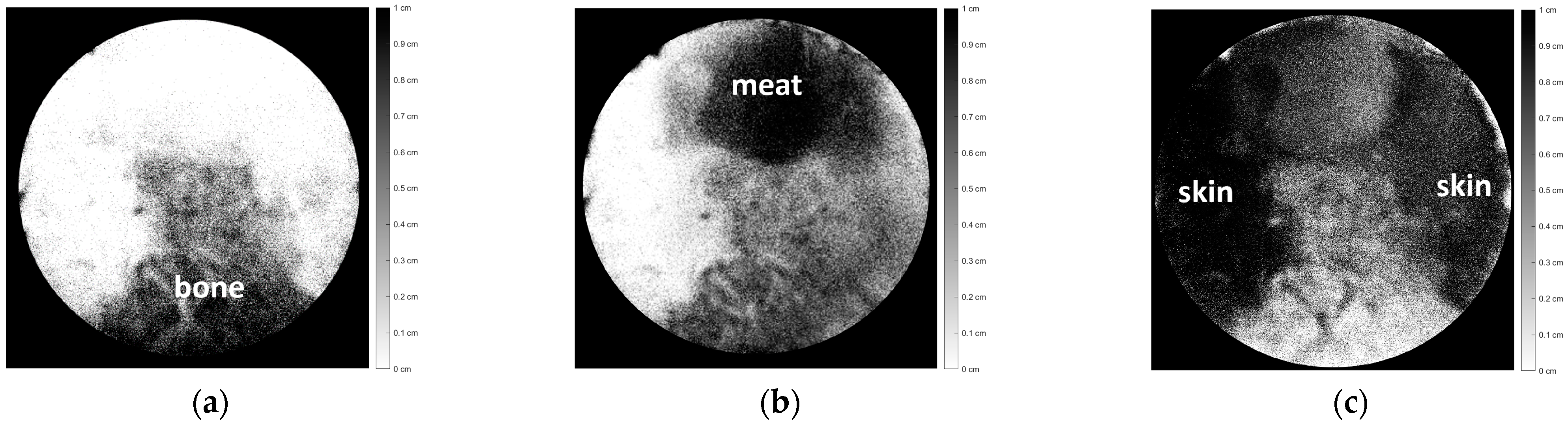 Jimaging 10 00022 g009